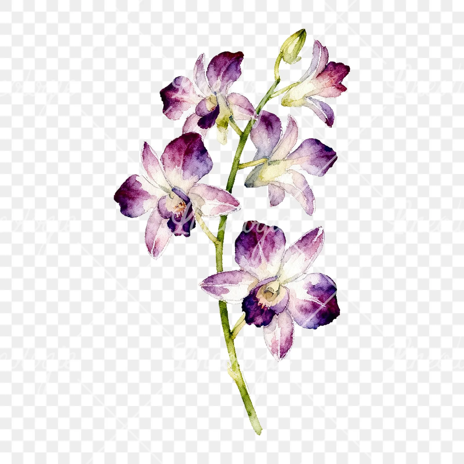 Watercolor orchid bouquet with leaves clipart 6 of 9 on a transparent background (PNG)