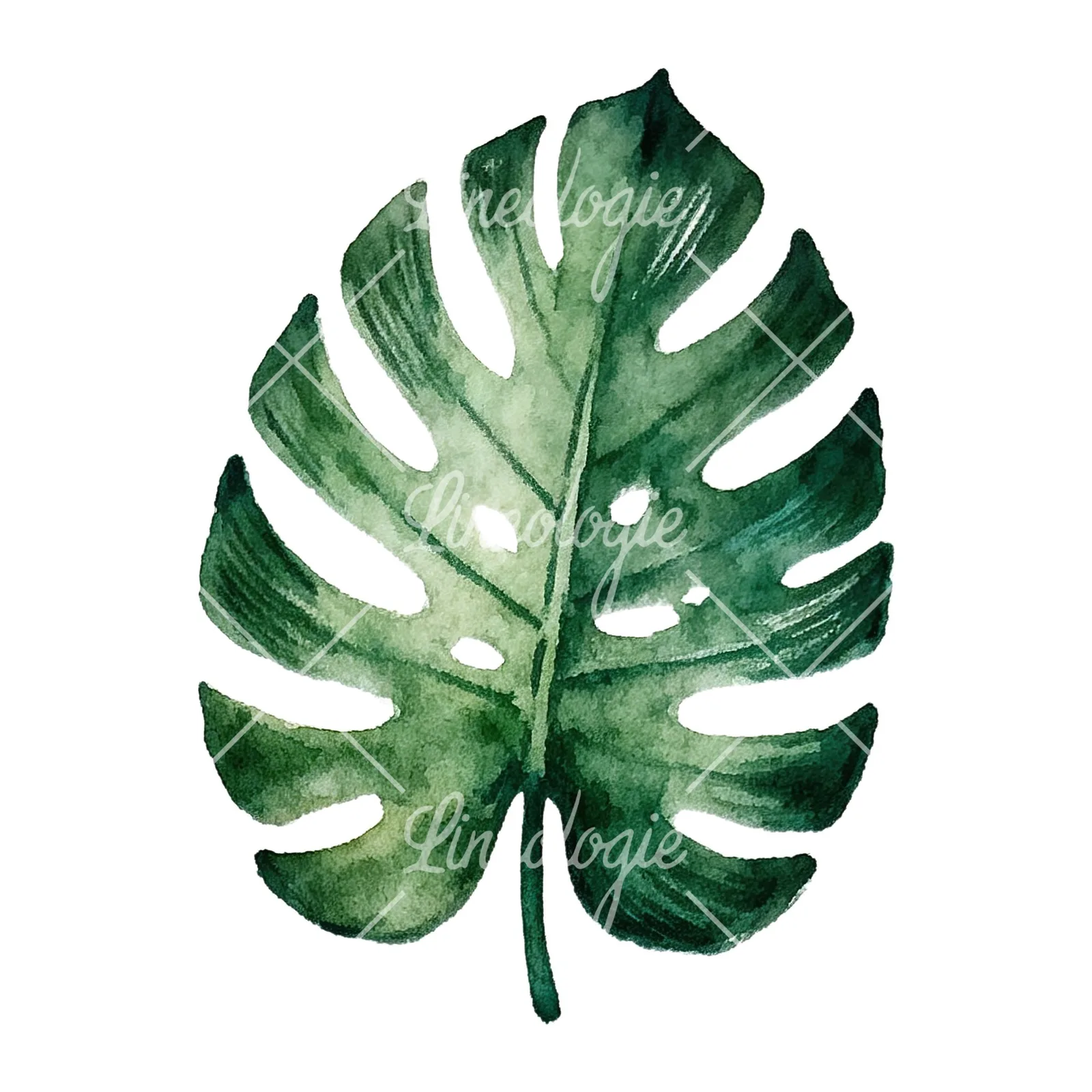 Watercolor broad green palm leaf clipart 2 of 9 on a white background (JPG)