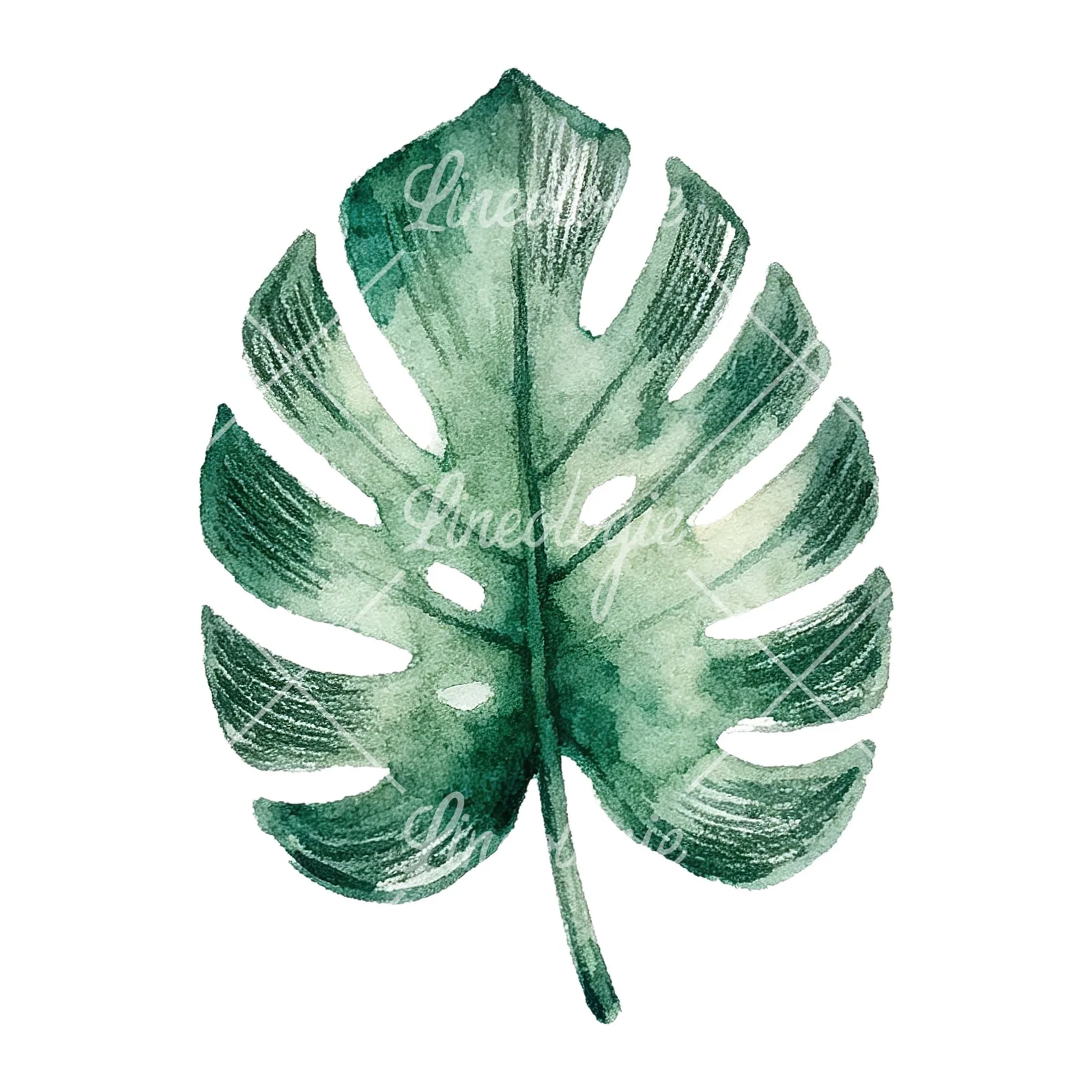 Watercolor broad green palm leaf clipart 5 of 9 on a white background (JPG)