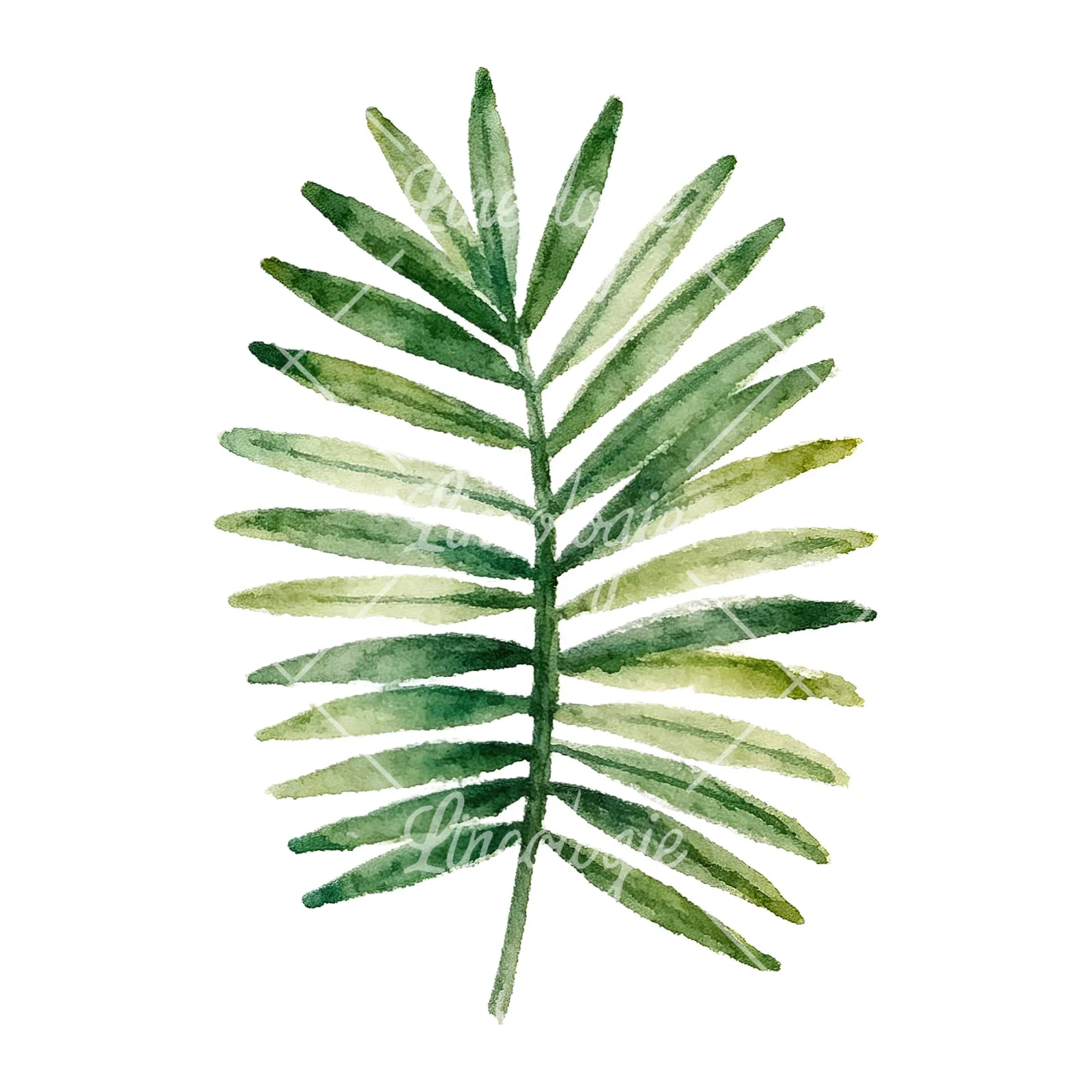 Watercolor broad green palm leaf clipart 9 of 9 on a white background (JPG)