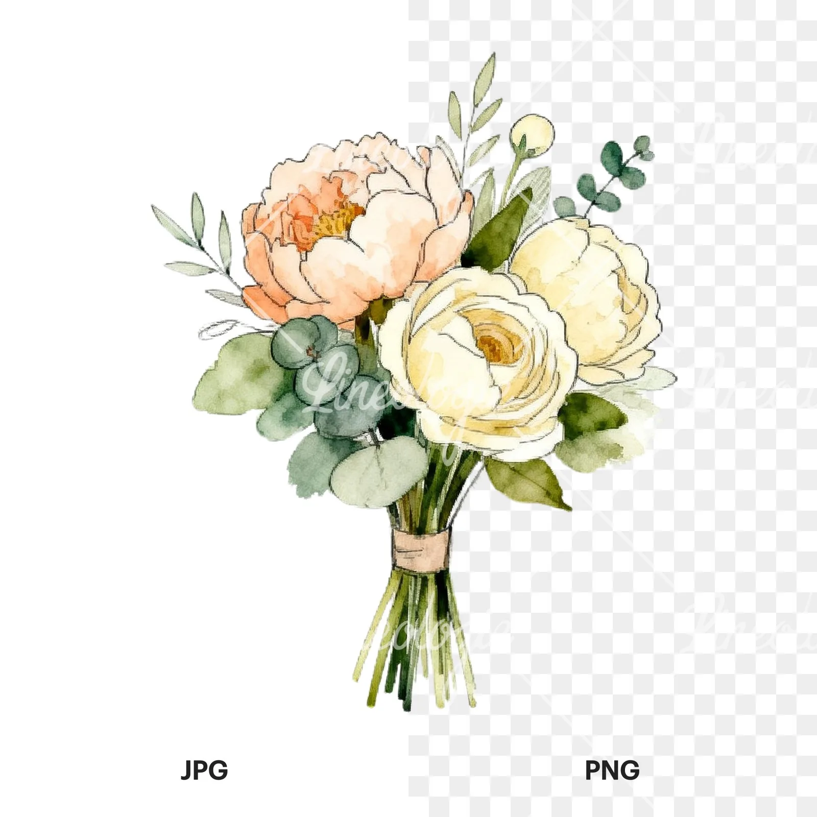 Watercolor peach peony cream wedding bouquet clipart 3 of 9, as a JPG on white and a transparent PNG