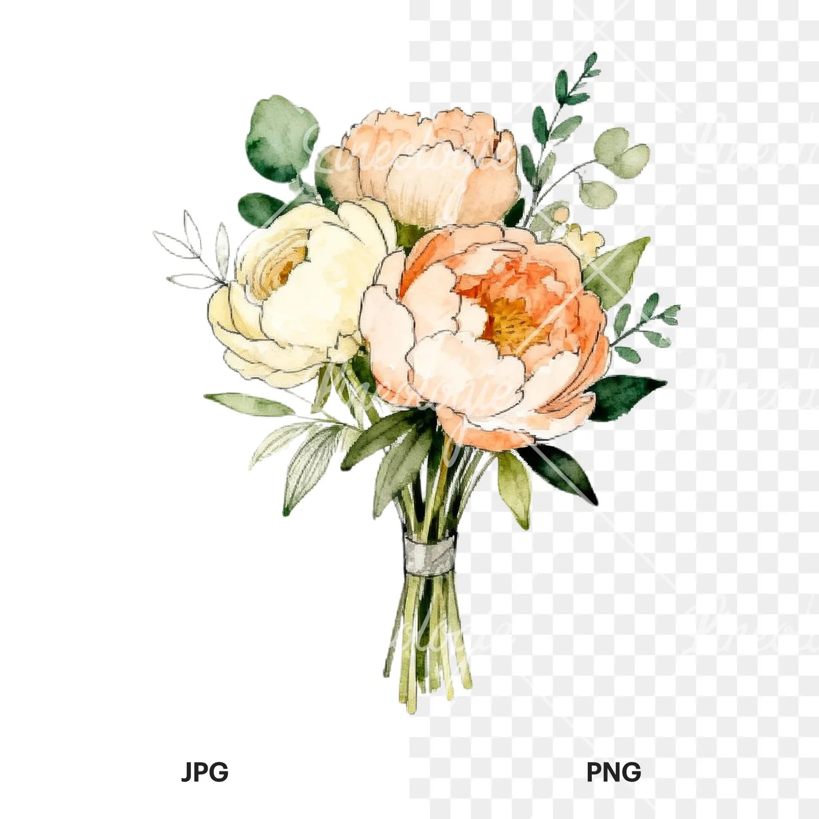 Watercolor peach peony cream wedding bouquet clipart 6 of 9, as a JPG on white and a transparent PNG