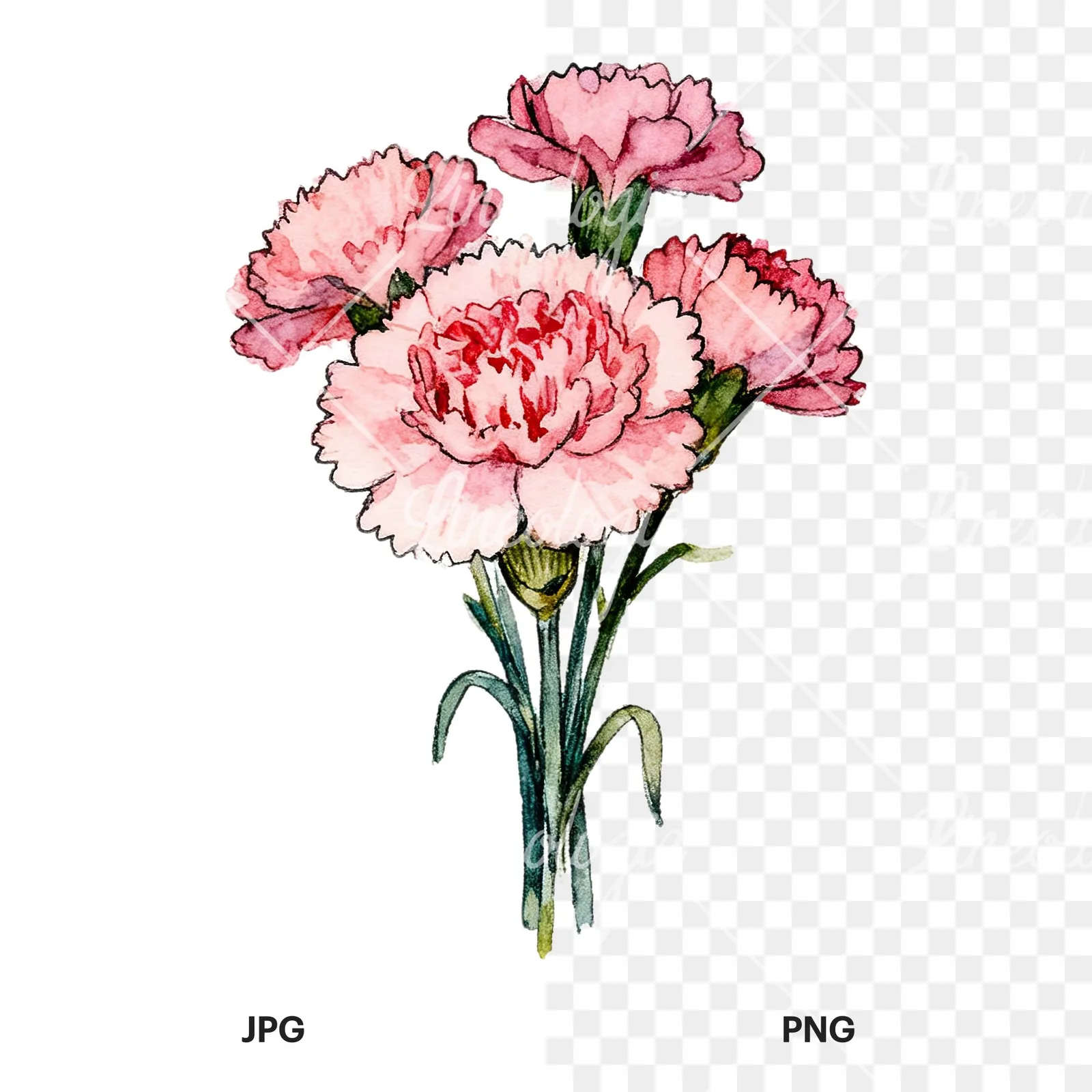 Watercolor pink carnation bouquet with green leaves clipart 5 of 9, as a JPG on white and a transparent PNG