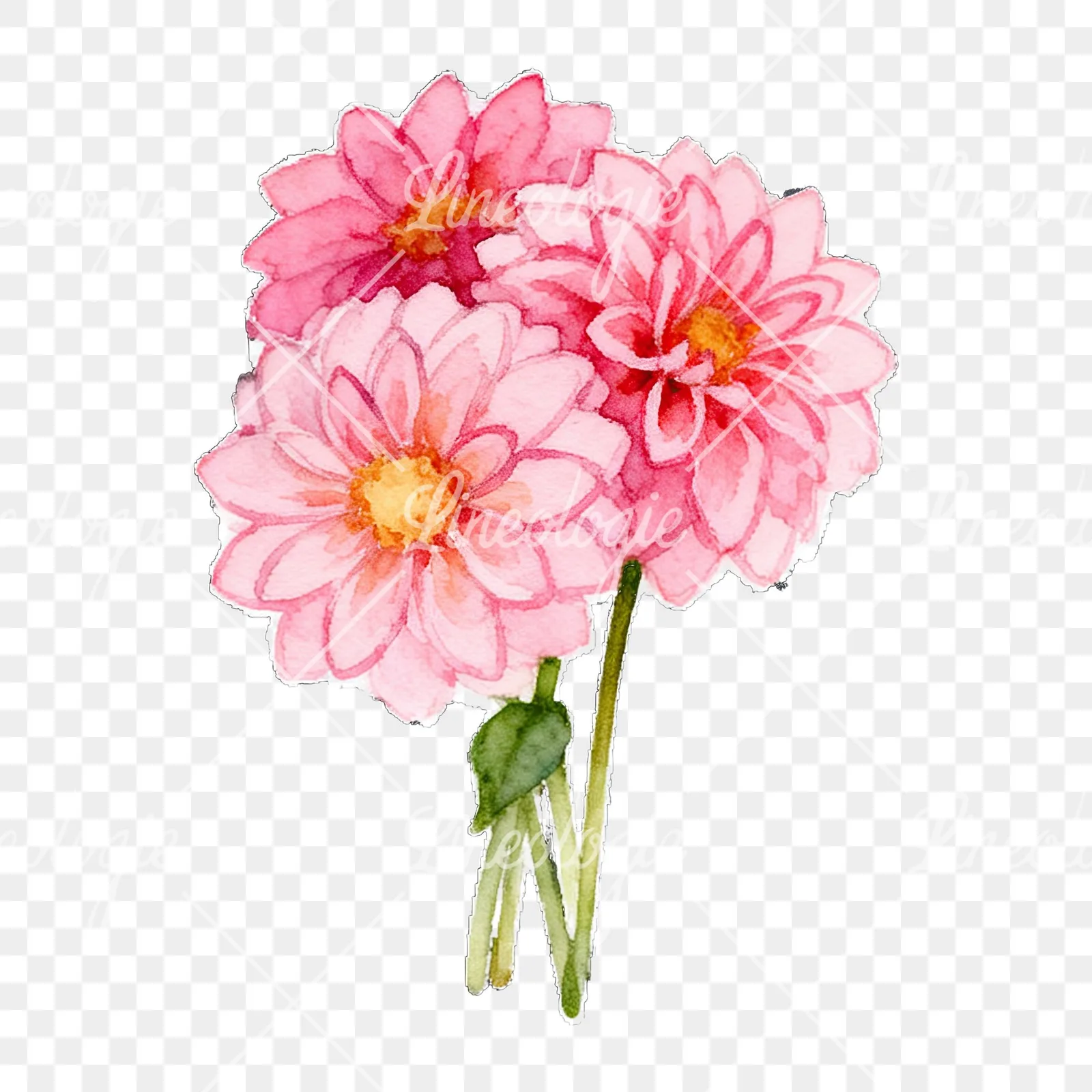 Watercolor pink dahlia bouquet clipart 4 of 9 on a transparent background (PNG)