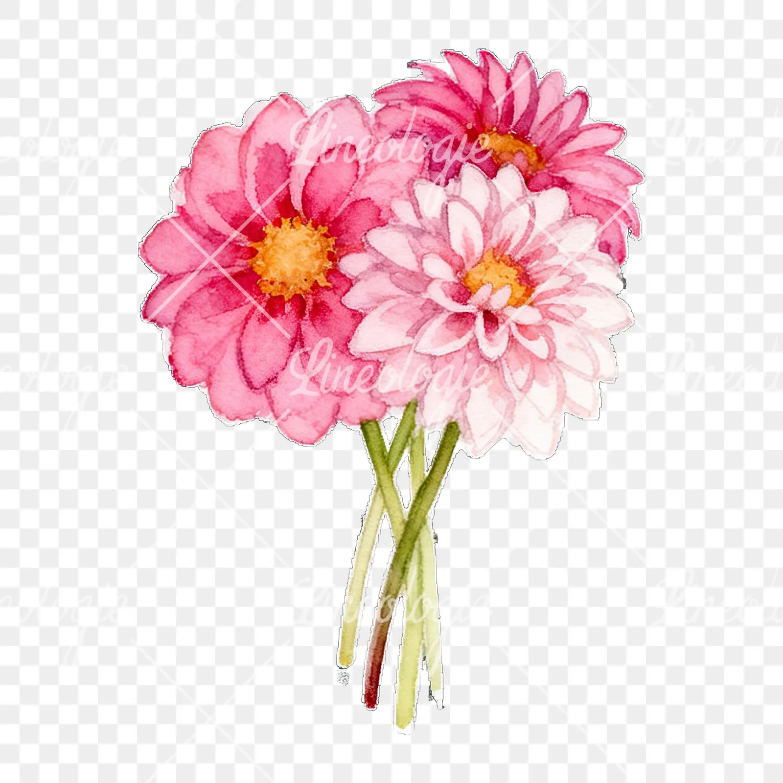 Watercolor pink dahlia bouquet clipart 5 of 9 on a transparent background (PNG)