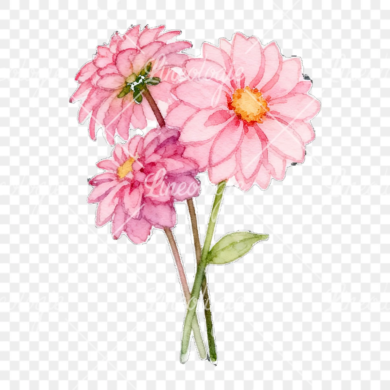 Watercolor pink dahlia bouquet clipart 6 of 9 on a transparent background (PNG)