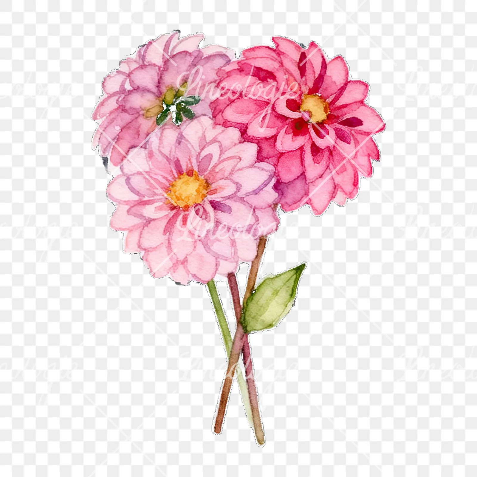Watercolor pink dahlia bouquet clipart 9 of 9 on a transparent background (PNG)