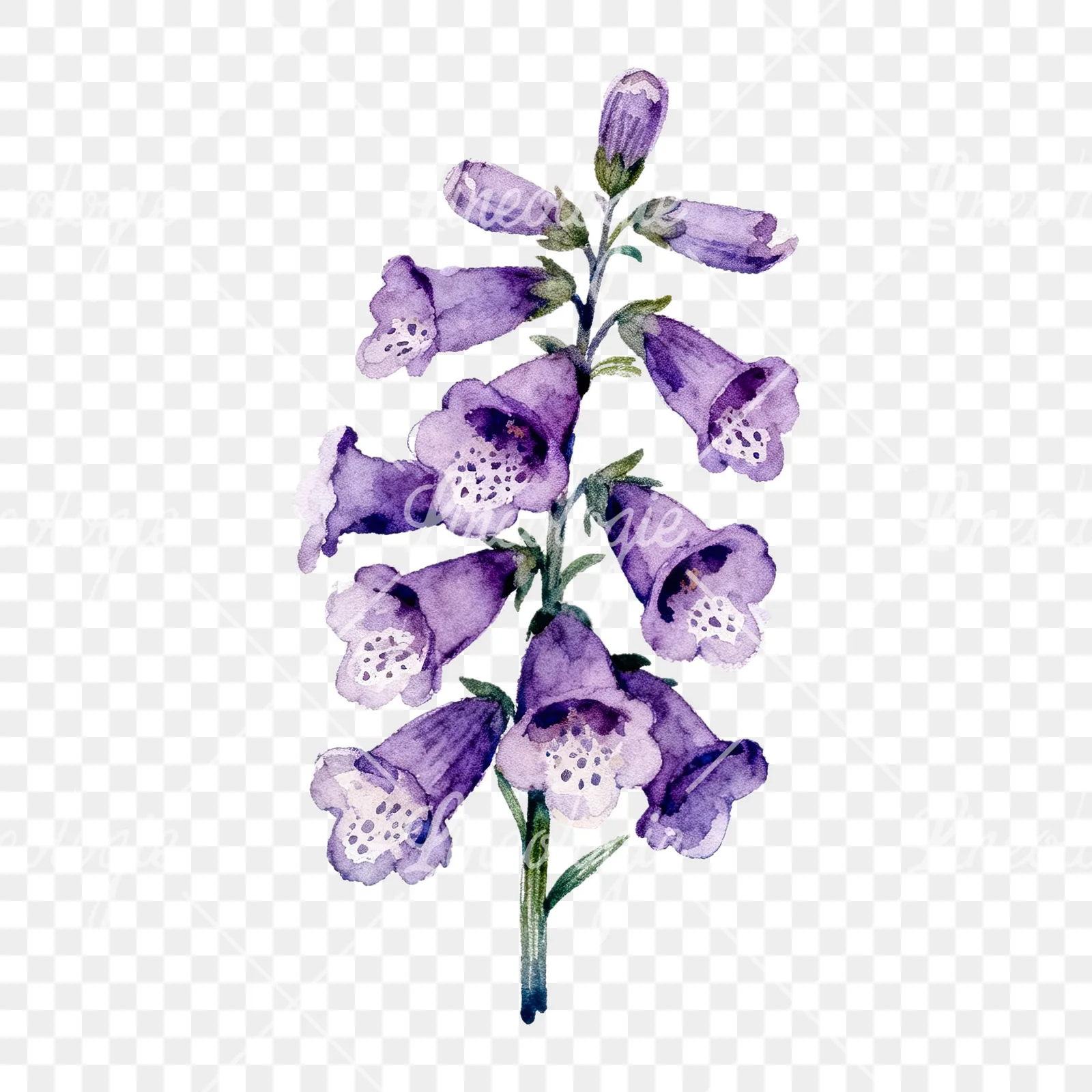 Watercolor pink purple foxglove bouquet clipart 8 of 9 on a transparent background (PNG)
