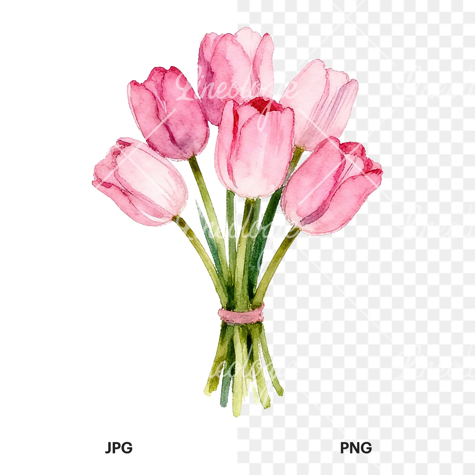 Watercolor pink purple tulip bouquet clipart 1 of 9, as a JPG on white and a transparent PNG