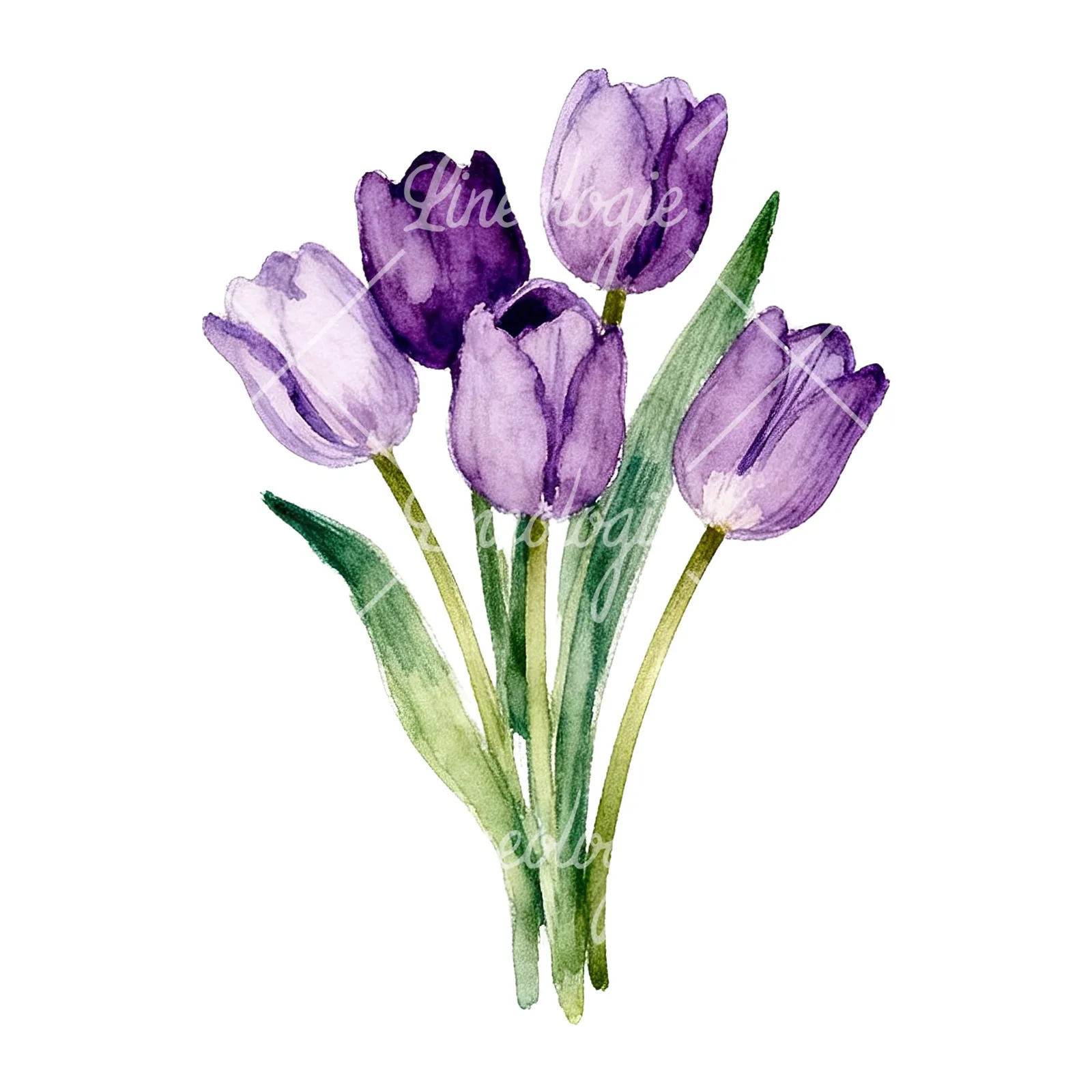 Watercolor pink purple tulip bouquet clipart 5 of 9 on a white background (JPG)