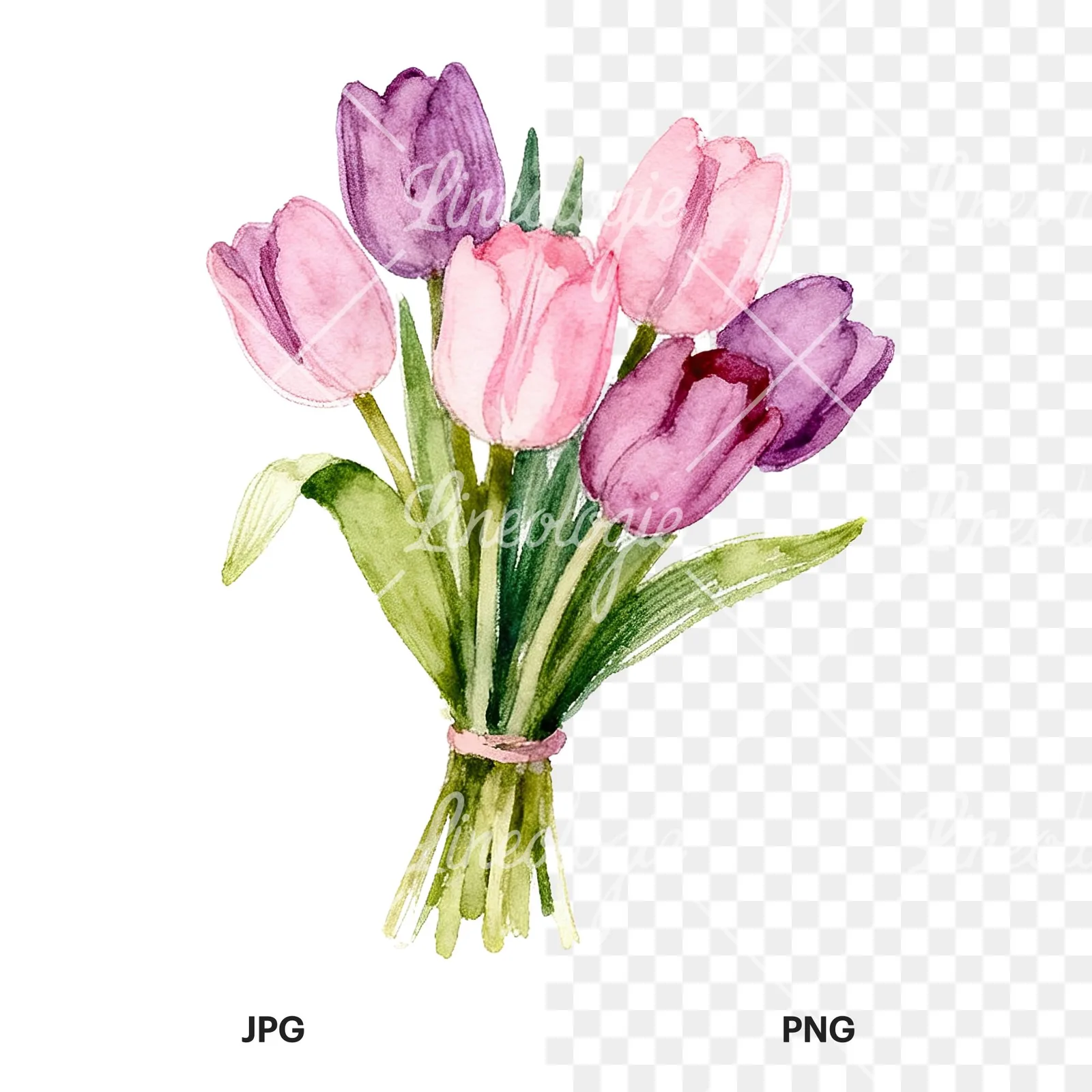 Watercolor pink purple tulip bouquet clipart 6 of 9, as a JPG on white and a transparent PNG