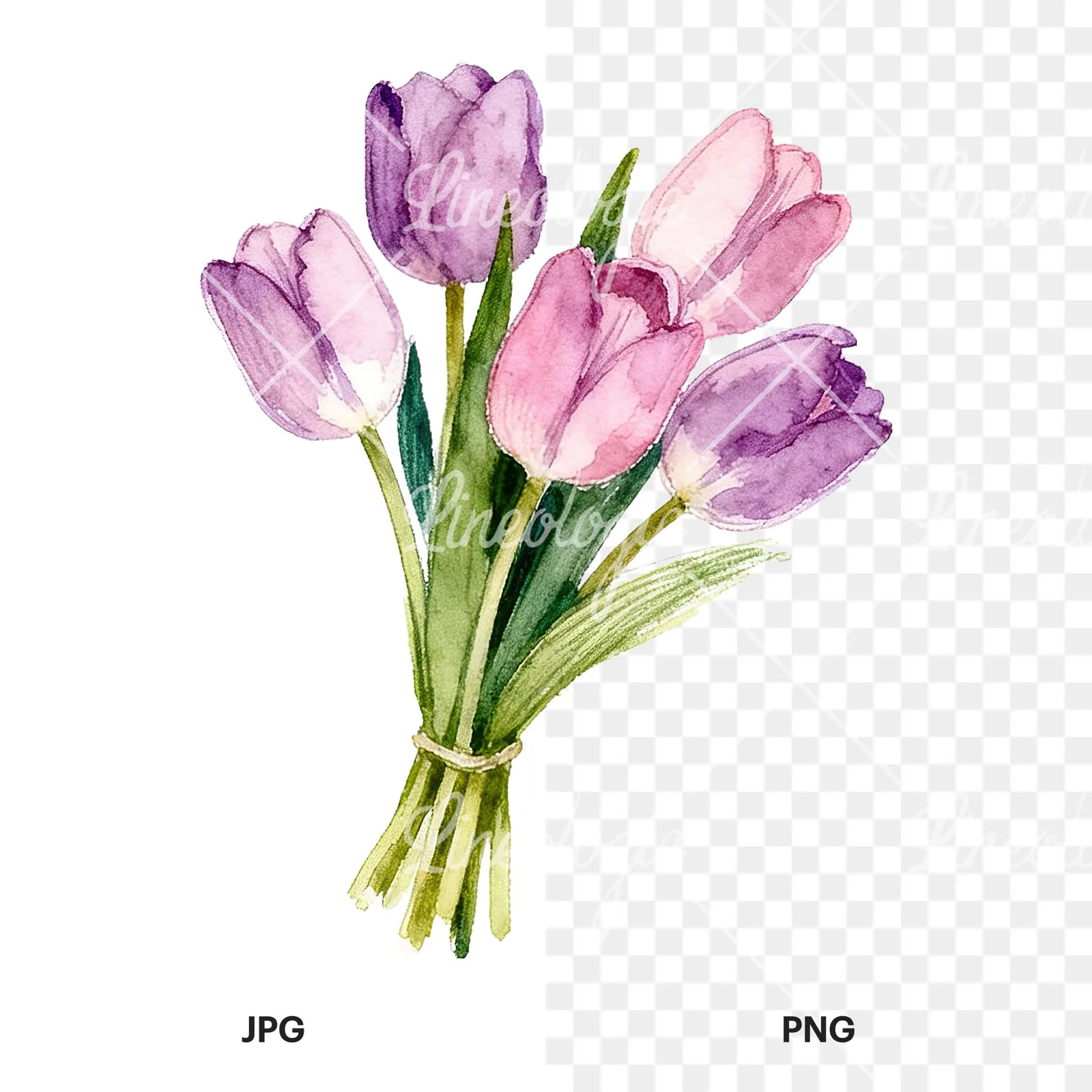 Watercolor pink purple tulip bouquet clipart 7 of 9, as a JPG on white and a transparent PNG