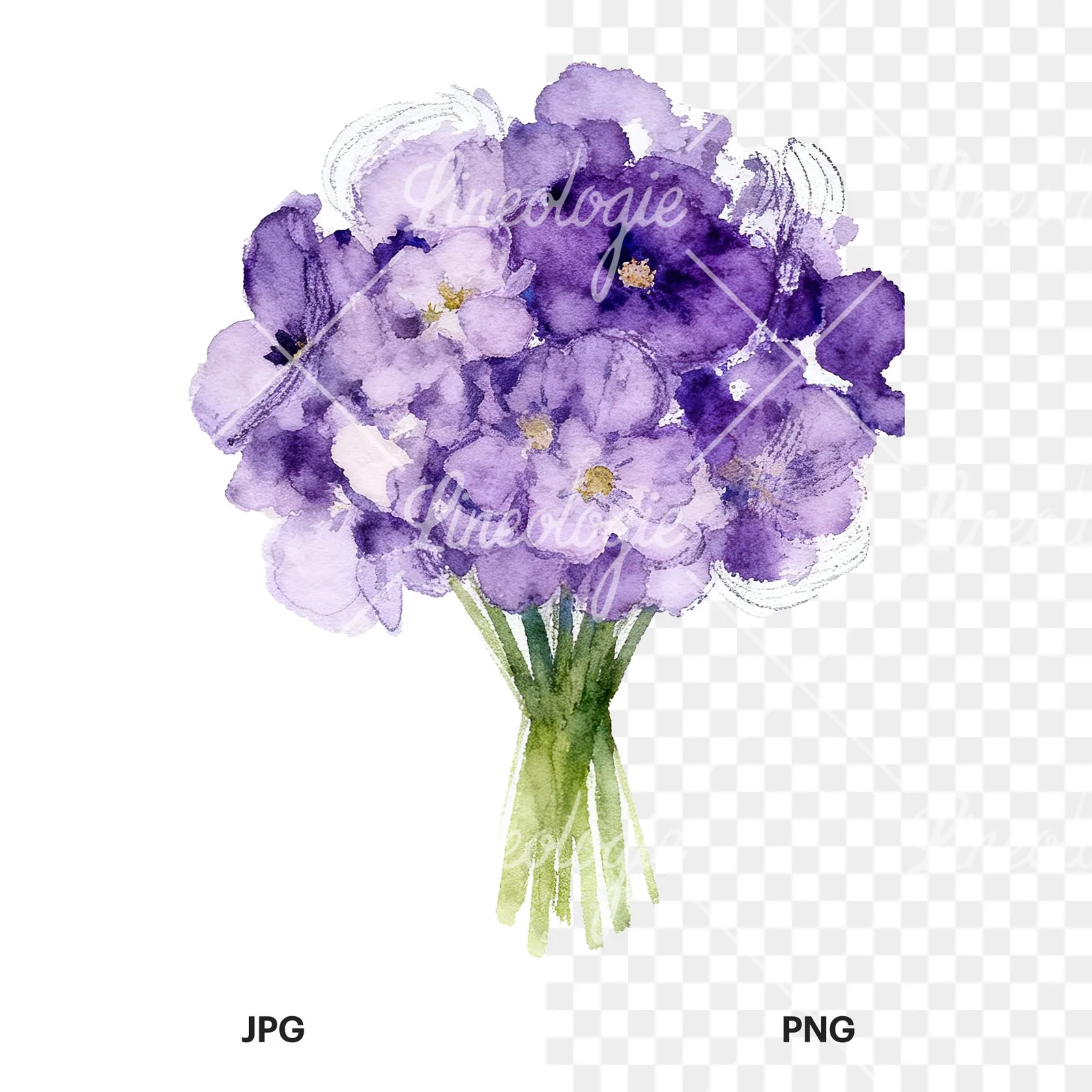 Watercolor purple and fuchsia wedding bouquet clipart 9 of 9, as a JPG on white and a transparent PNG