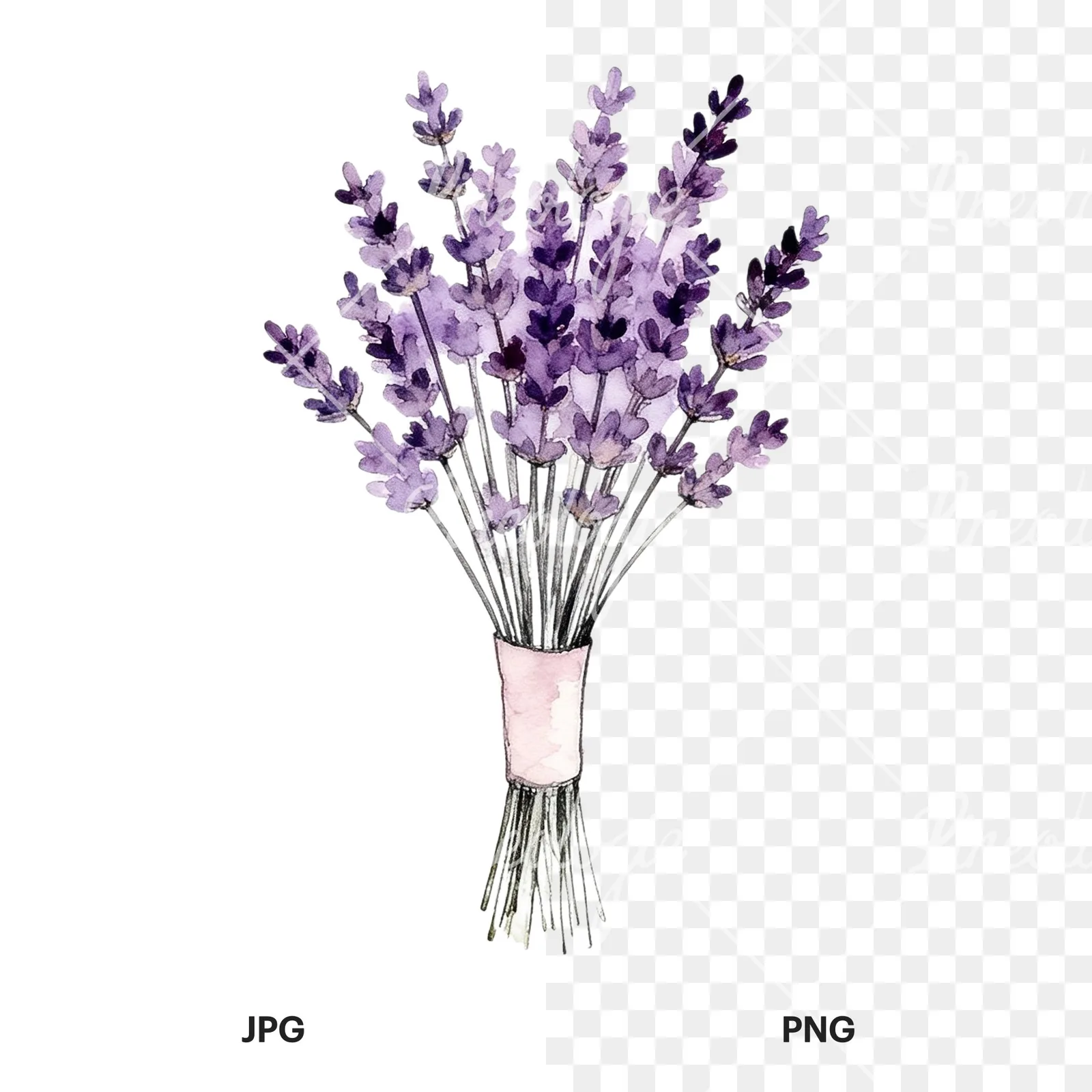 Watercolor purple and pale pink wedding bouquet clipart 7 of 9, as a JPG on white and a transparent PNG