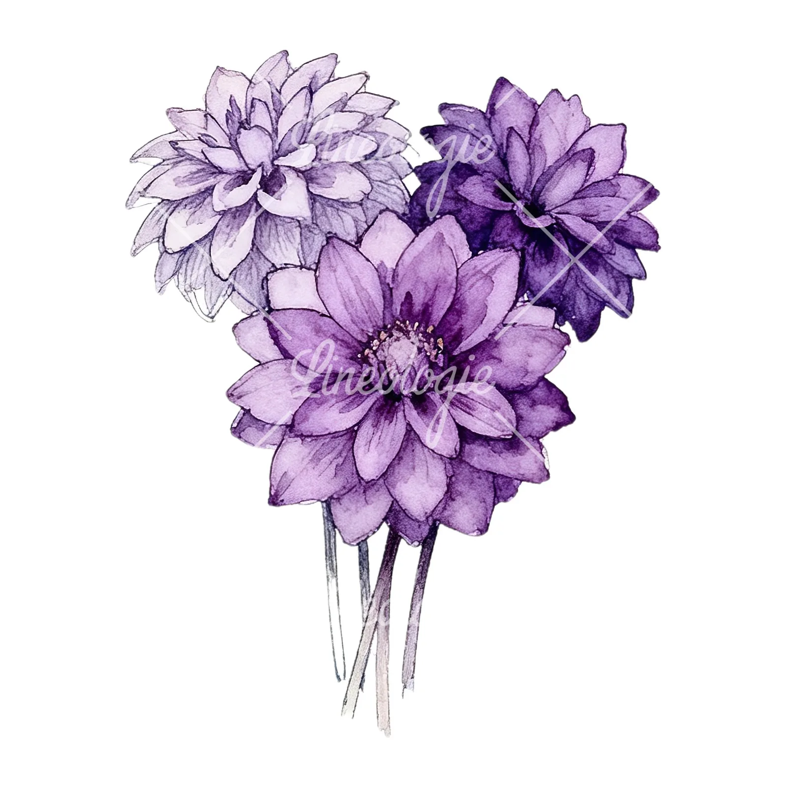 Watercolor purple dahlia bouquet clipart 3 of 9 on a white background (JPG)