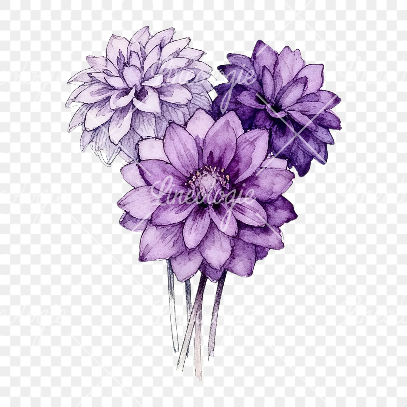 Watercolor purple dahlia bouquet clipart 3 of 9 on a transparent background (PNG)