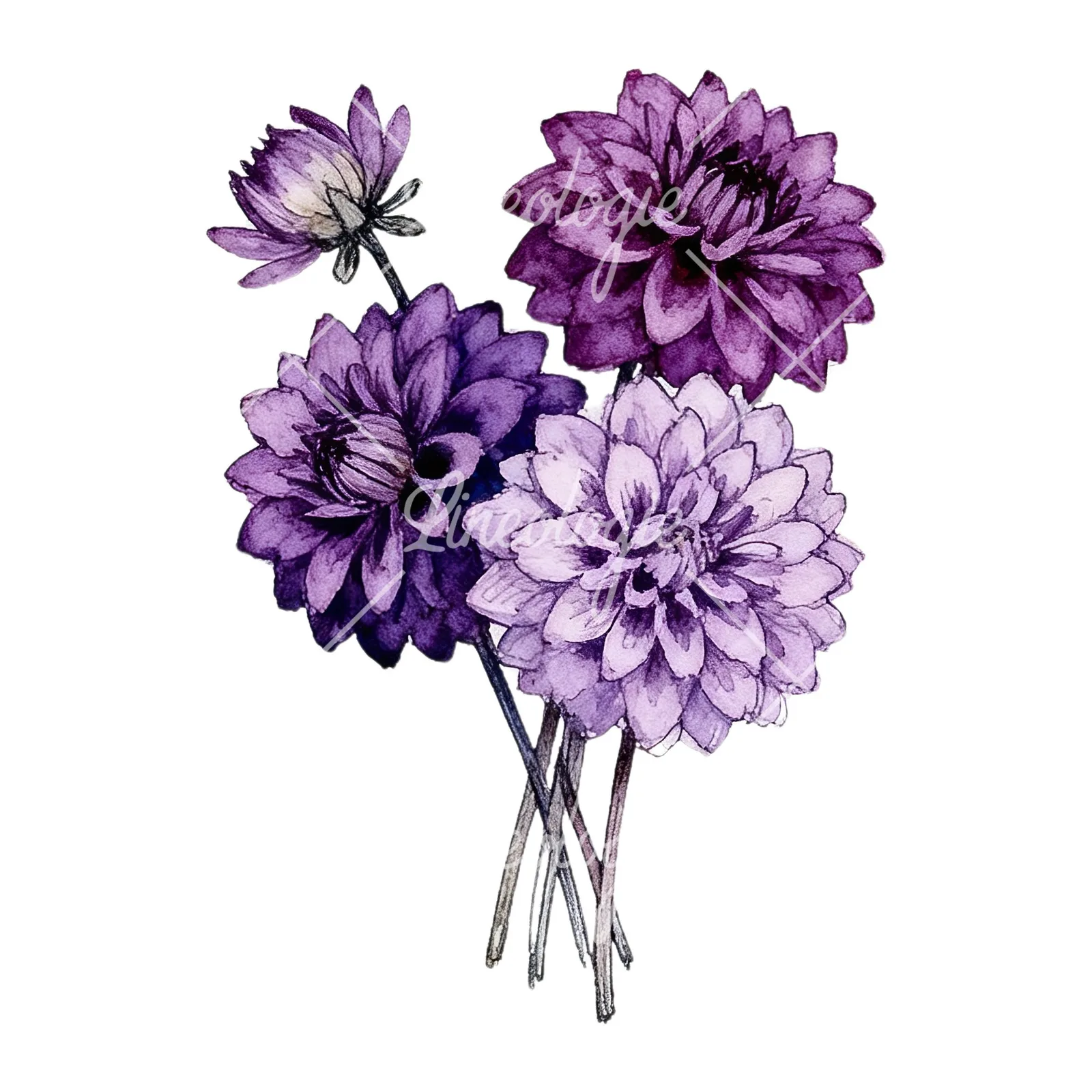 Watercolor purple dahlia bouquet clipart 4 of 9 on a white background (JPG)