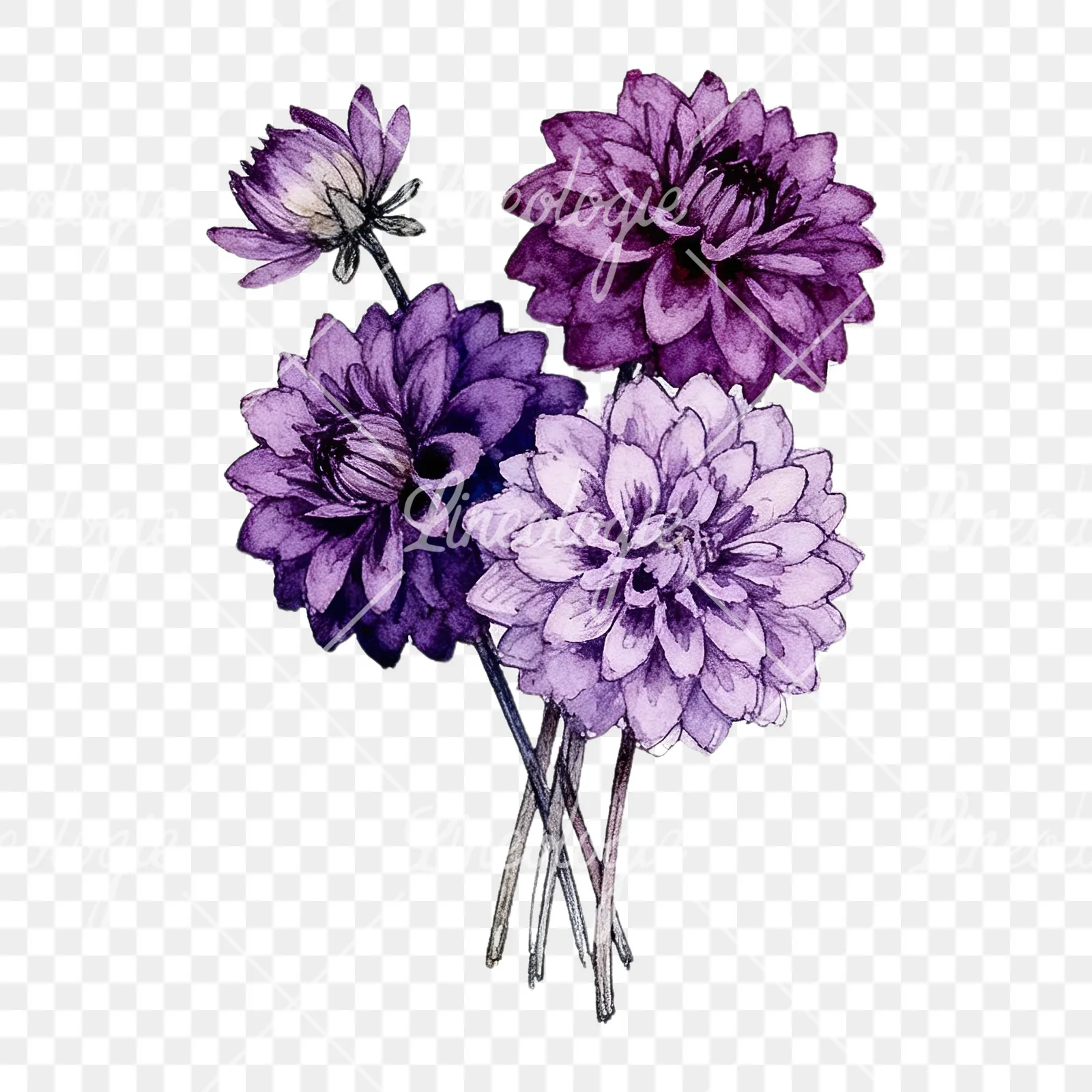Watercolor purple dahlia bouquet clipart 4 of 9 on a transparent background (PNG)