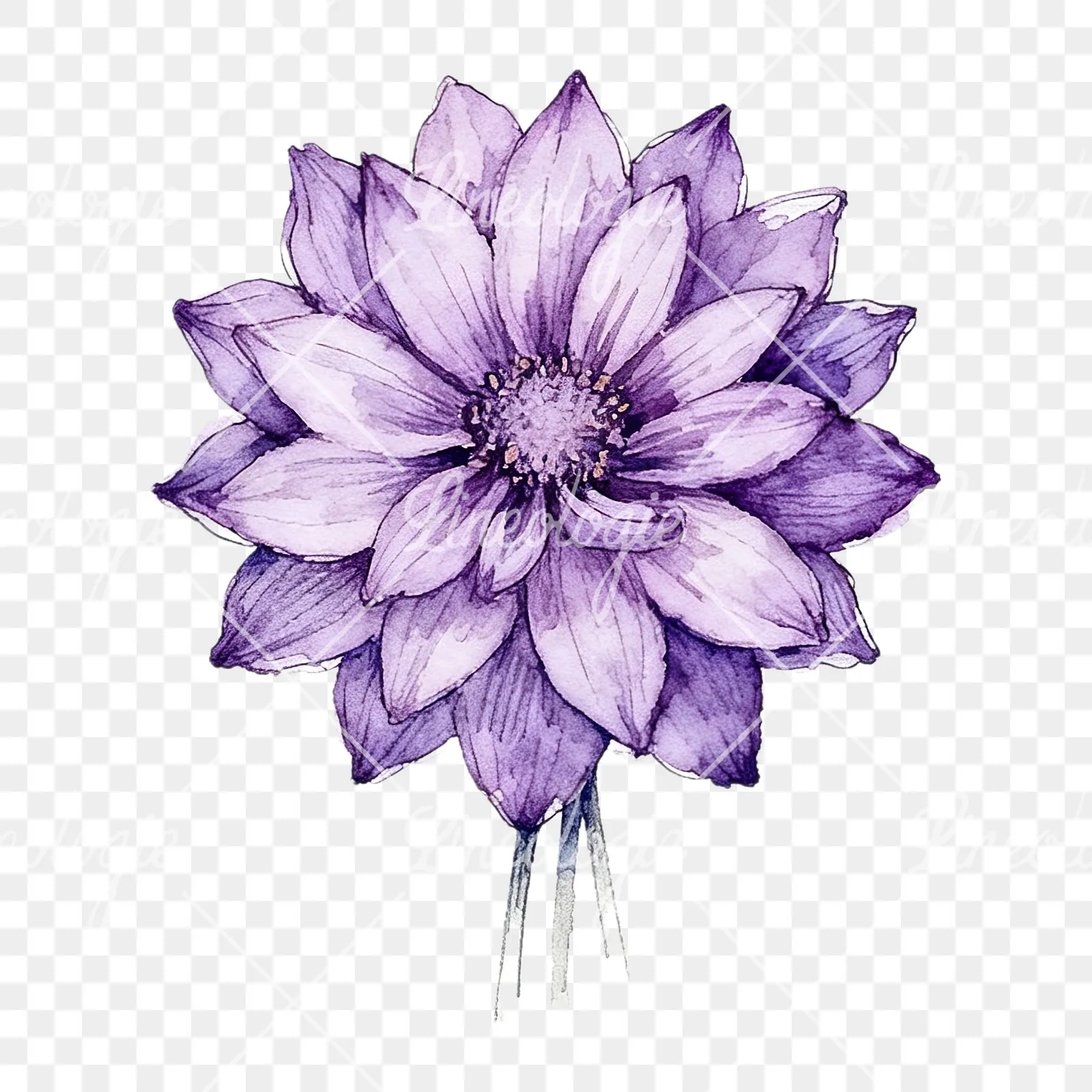 Watercolor purple dahlia bouquet clipart 6 of 9 on a transparent background (PNG)