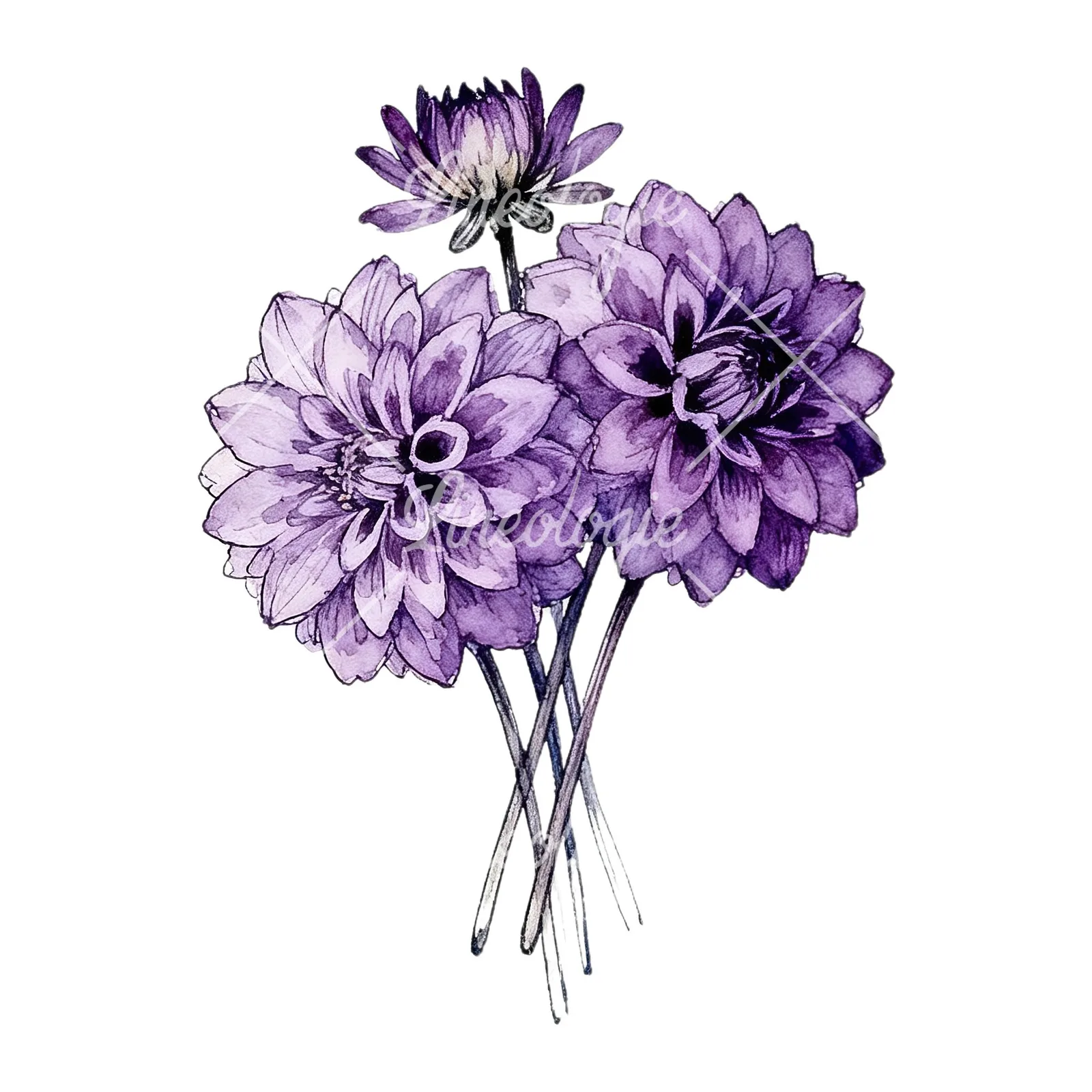 Watercolor purple dahlia bouquet clipart 7 of 9 on a white background (JPG)