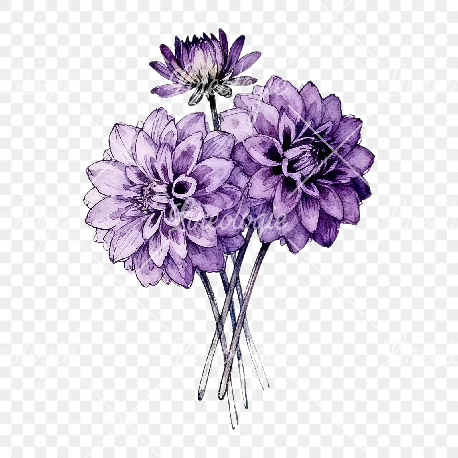 Watercolor purple dahlia bouquet clipart 7 of 9 on a transparent background (PNG)