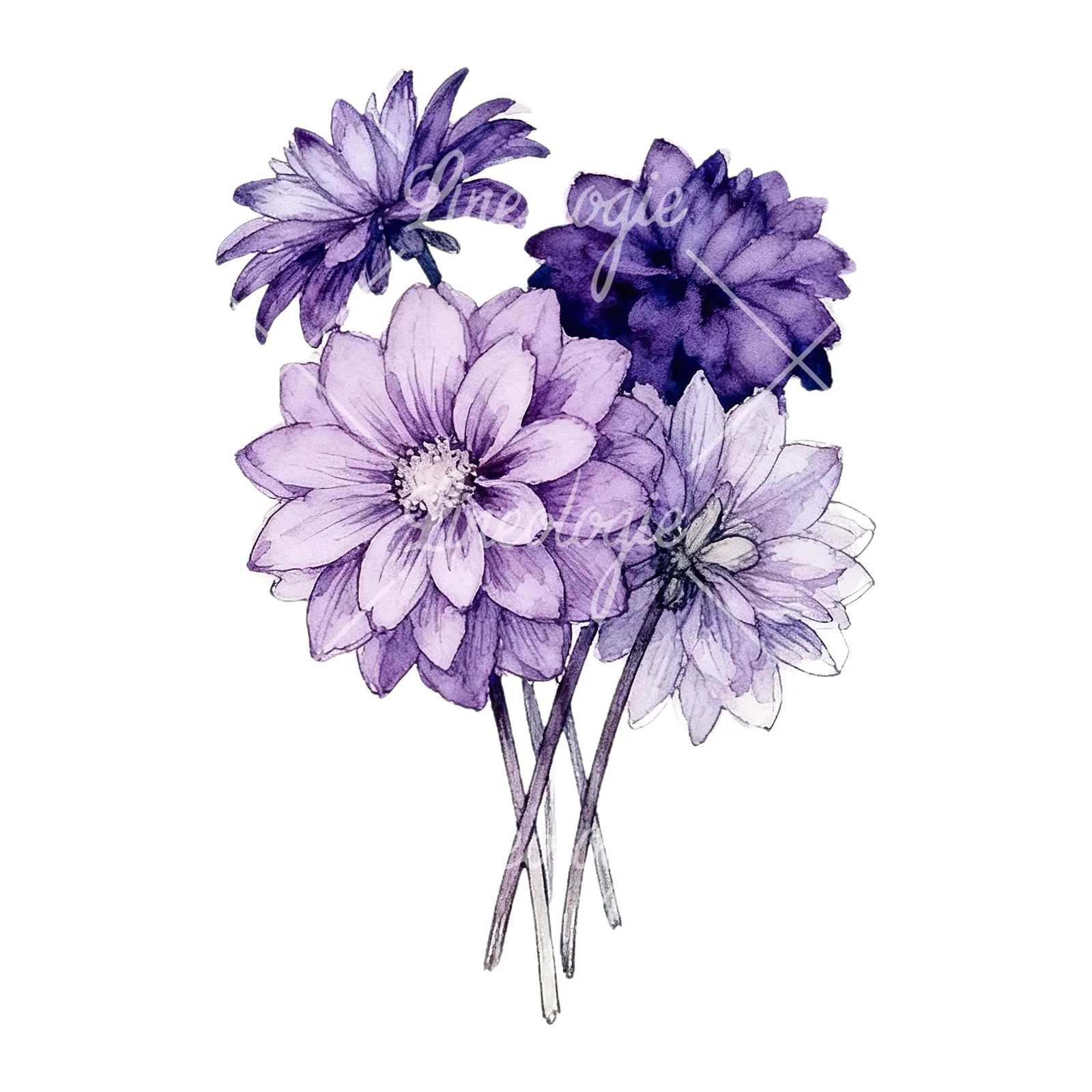 Watercolor purple dahlia bouquet clipart 8 of 9 on a white background (JPG)