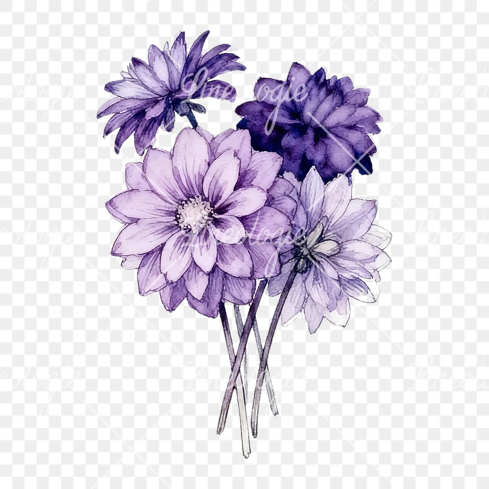Watercolor purple dahlia bouquet clipart 8 of 9 on a transparent background (PNG)