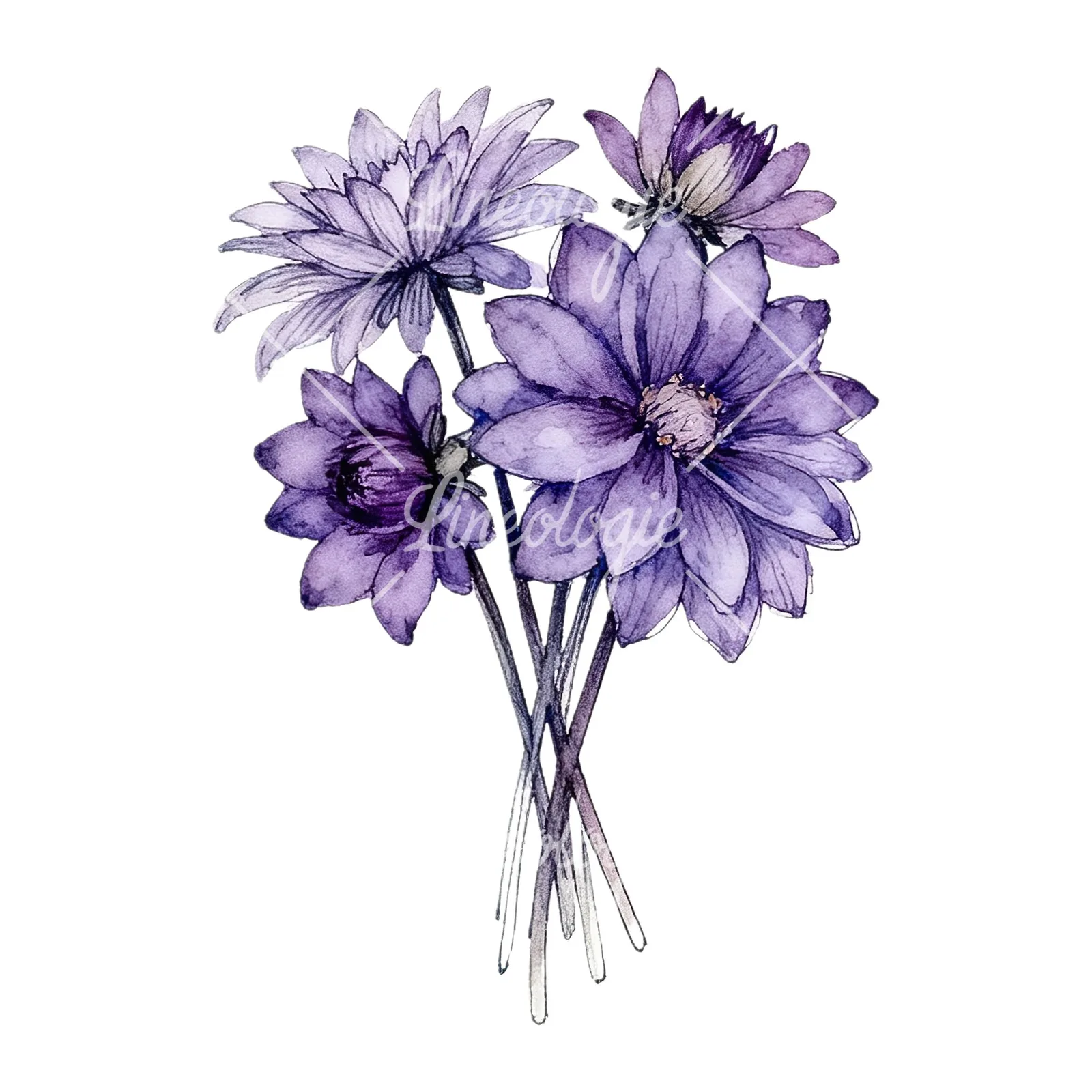 Watercolor purple dahlia bouquet clipart 9 of 9 on a white background (JPG)