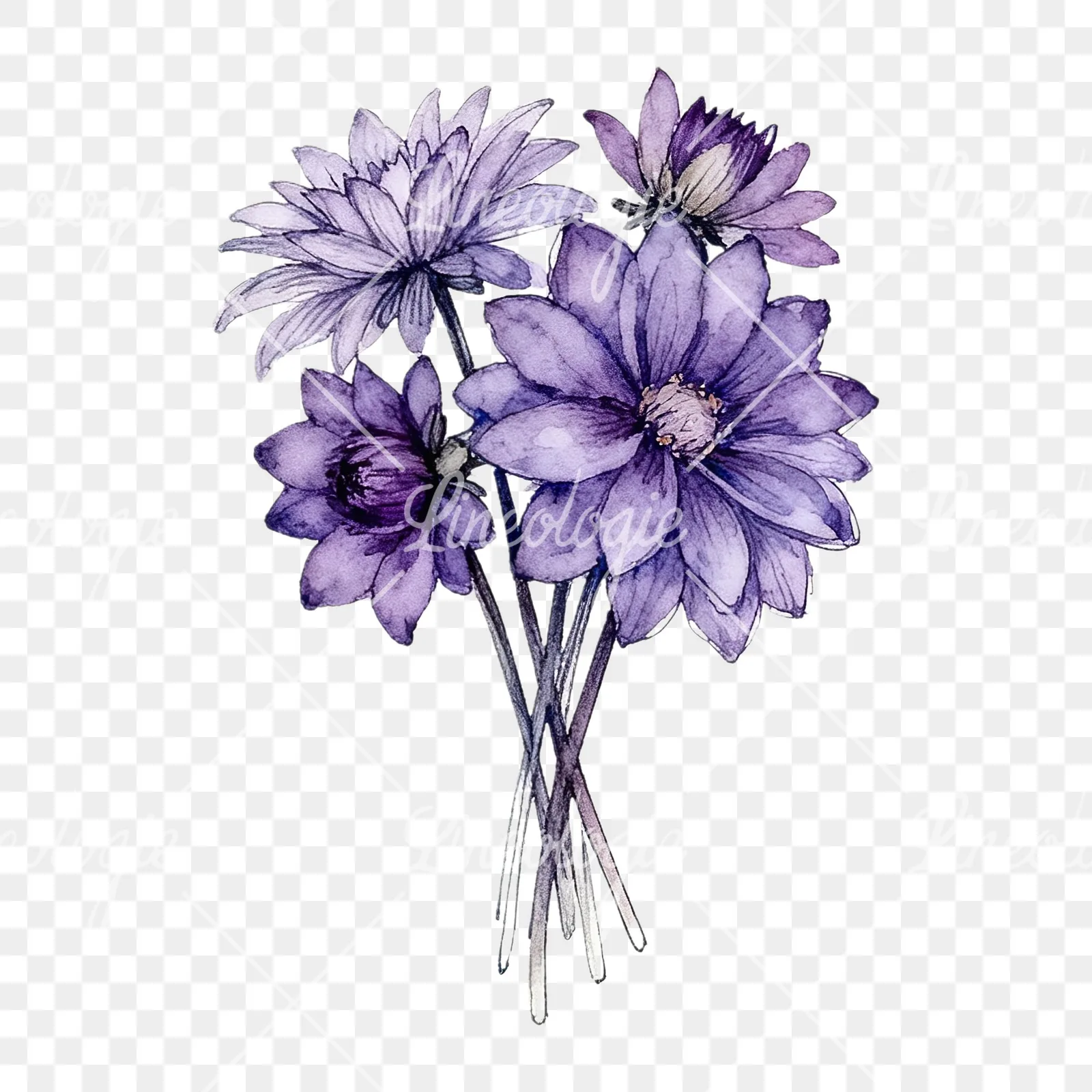 Watercolor purple dahlia bouquet clipart 9 of 9 on a transparent background (PNG)