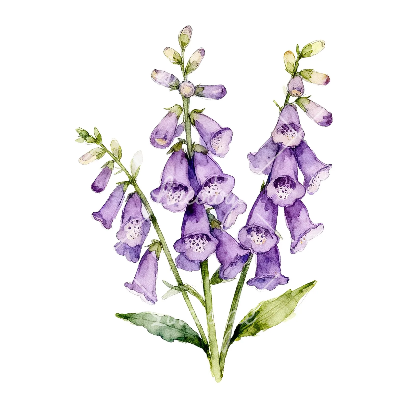 Watercolor purple foxglove bouquet clipart 2 of 9 on a white background (JPG)