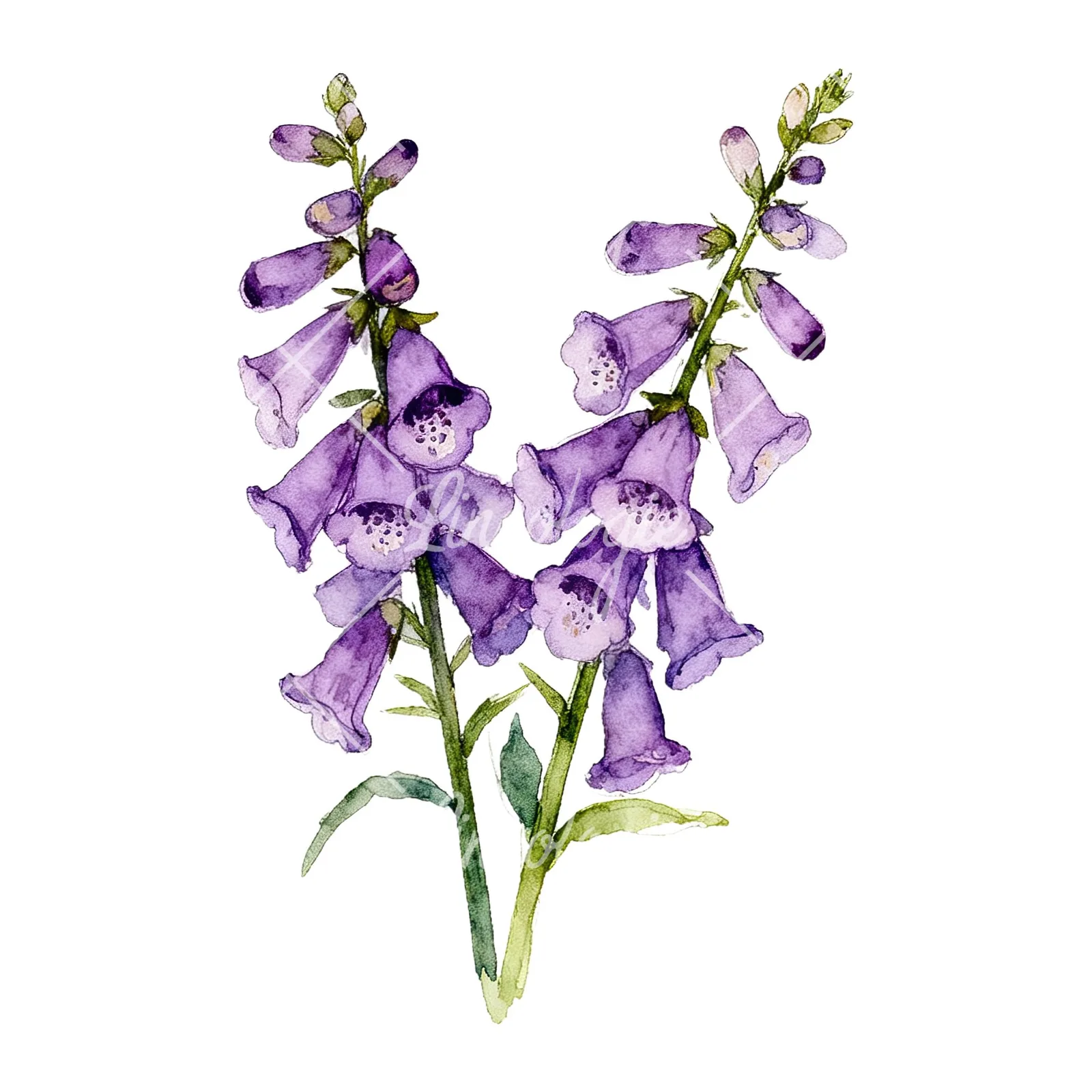 Watercolor purple foxglove bouquet clipart 3 of 9 on a white background (JPG)