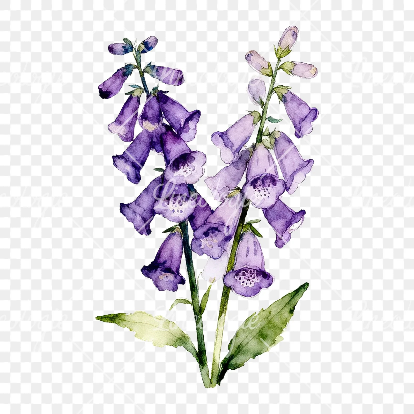 Watercolor purple foxglove bouquet clipart 5 of 9 on a transparent background (PNG)