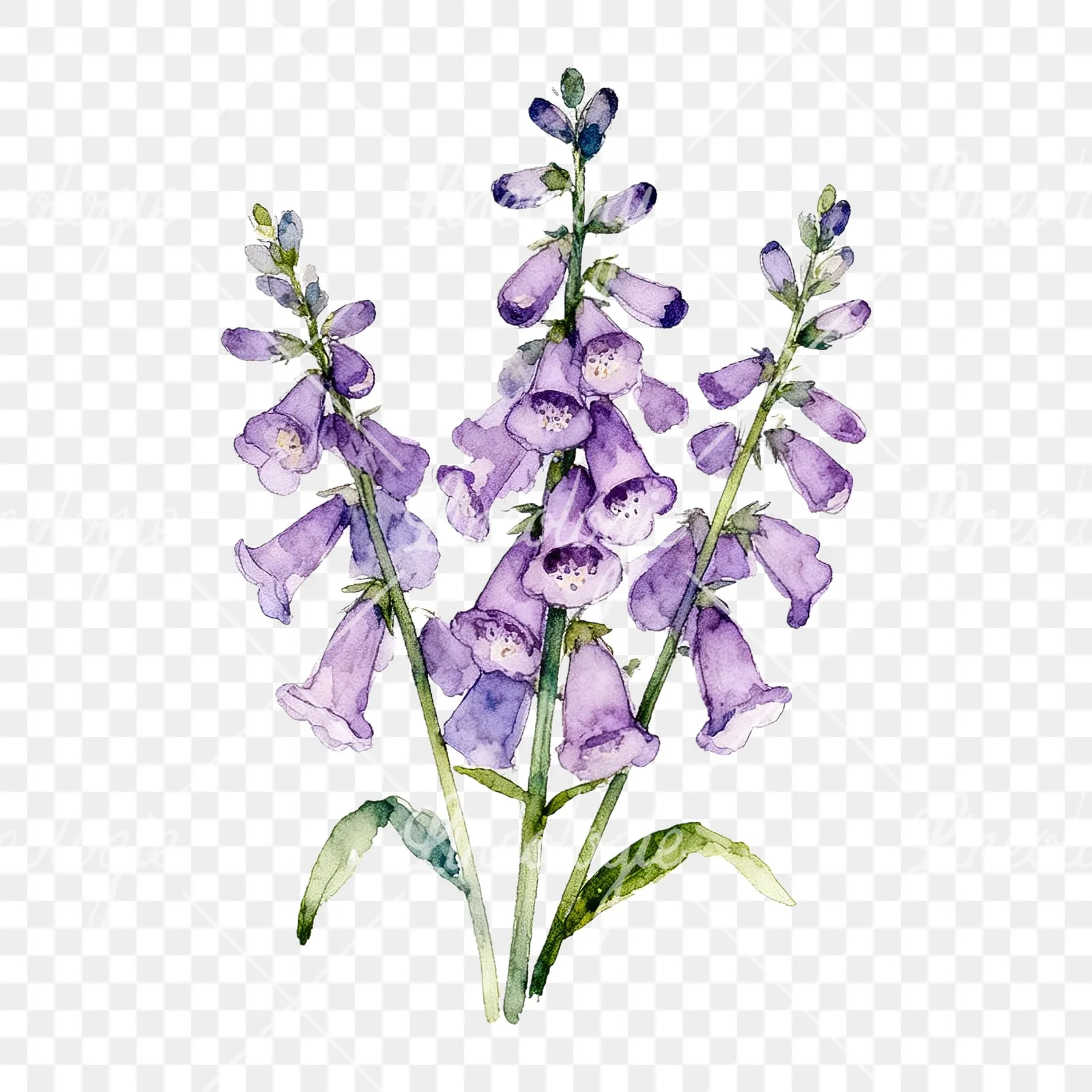 Watercolor purple foxglove bouquet clipart 6 of 9 on a transparent background (PNG)
