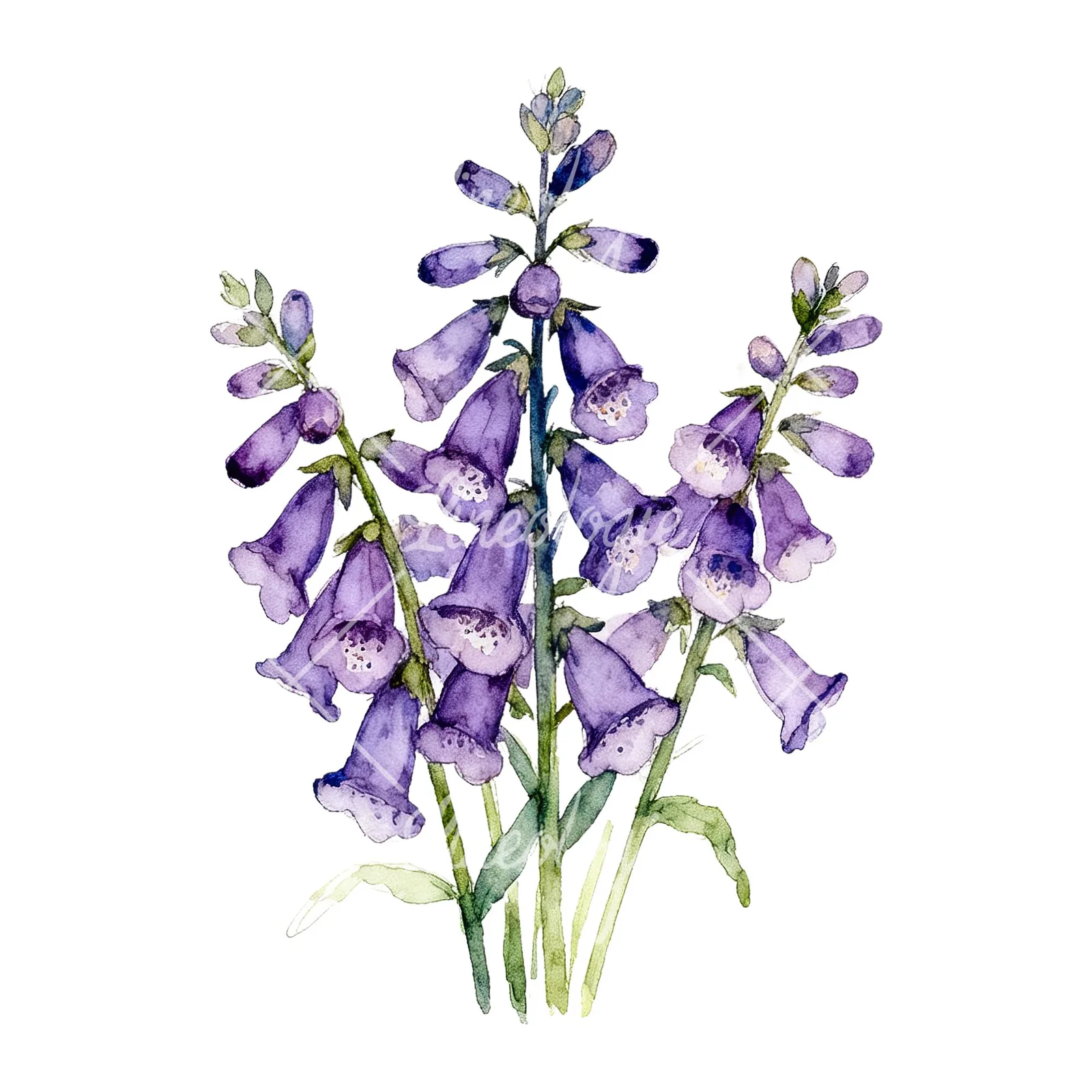 Watercolor purple foxglove bouquet clipart 7 of 9 on a white background (JPG)