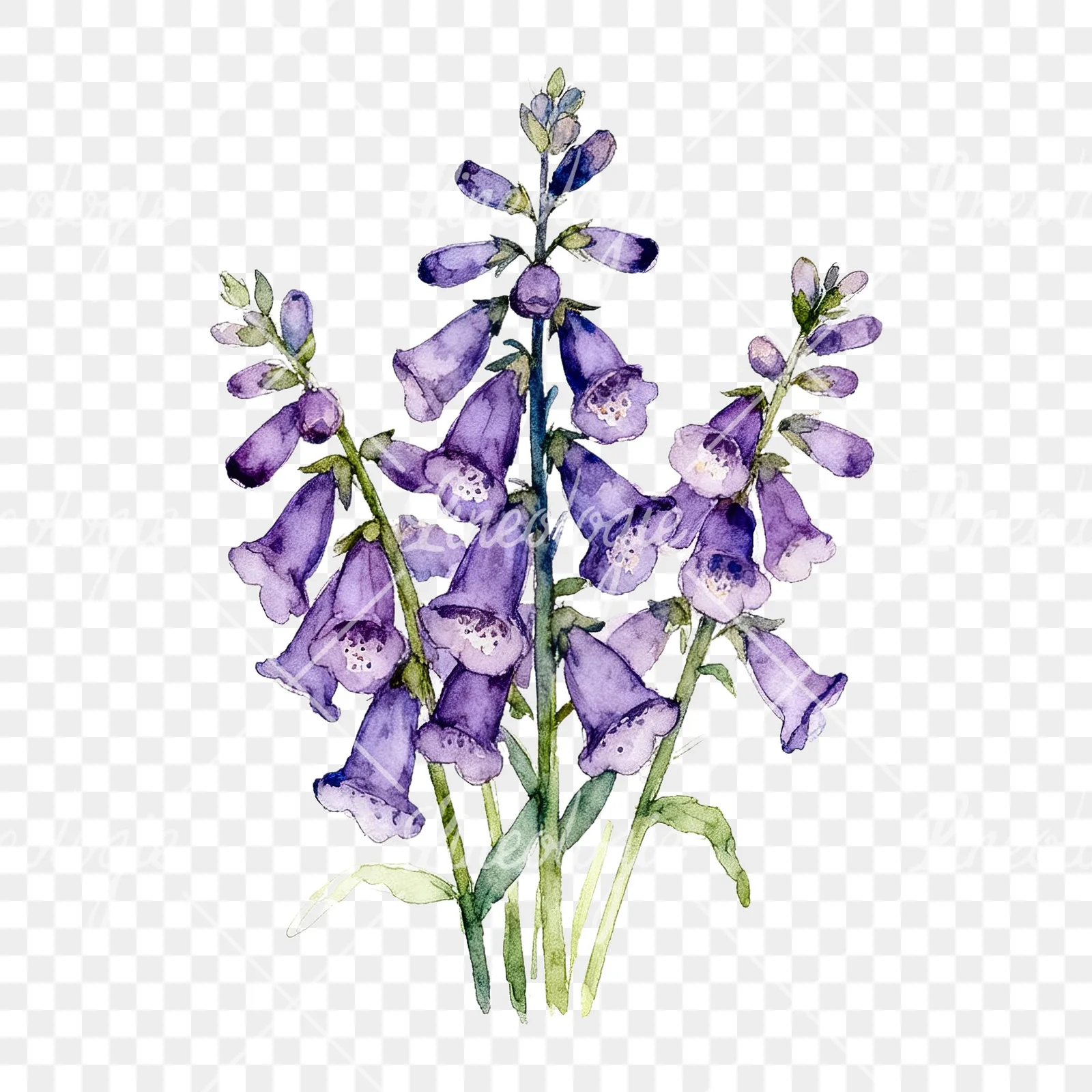 Watercolor purple foxglove bouquet clipart 7 of 9 on a transparent background (PNG)