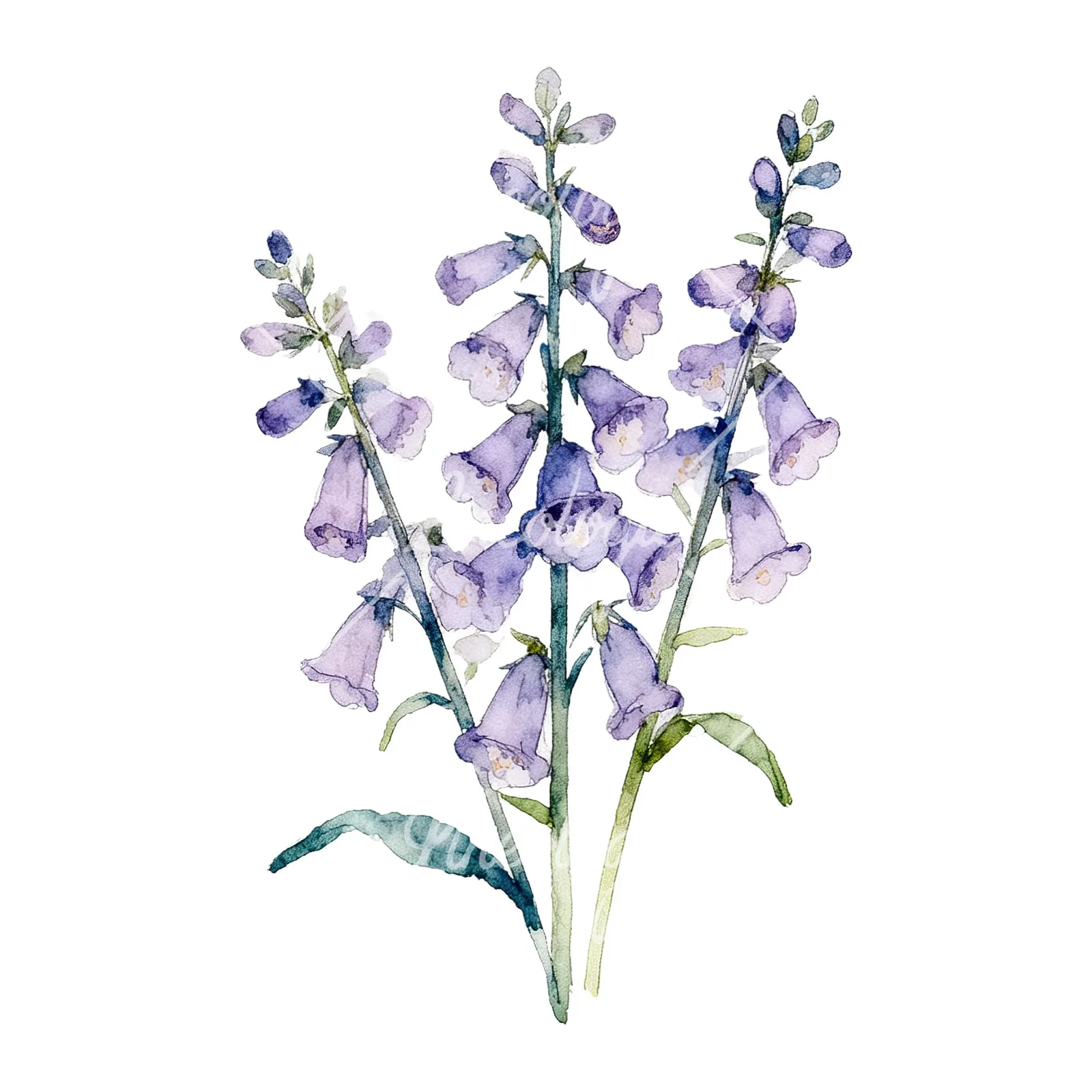 Watercolor purple foxglove bouquet clipart 9 of 9 on a white background (JPG)