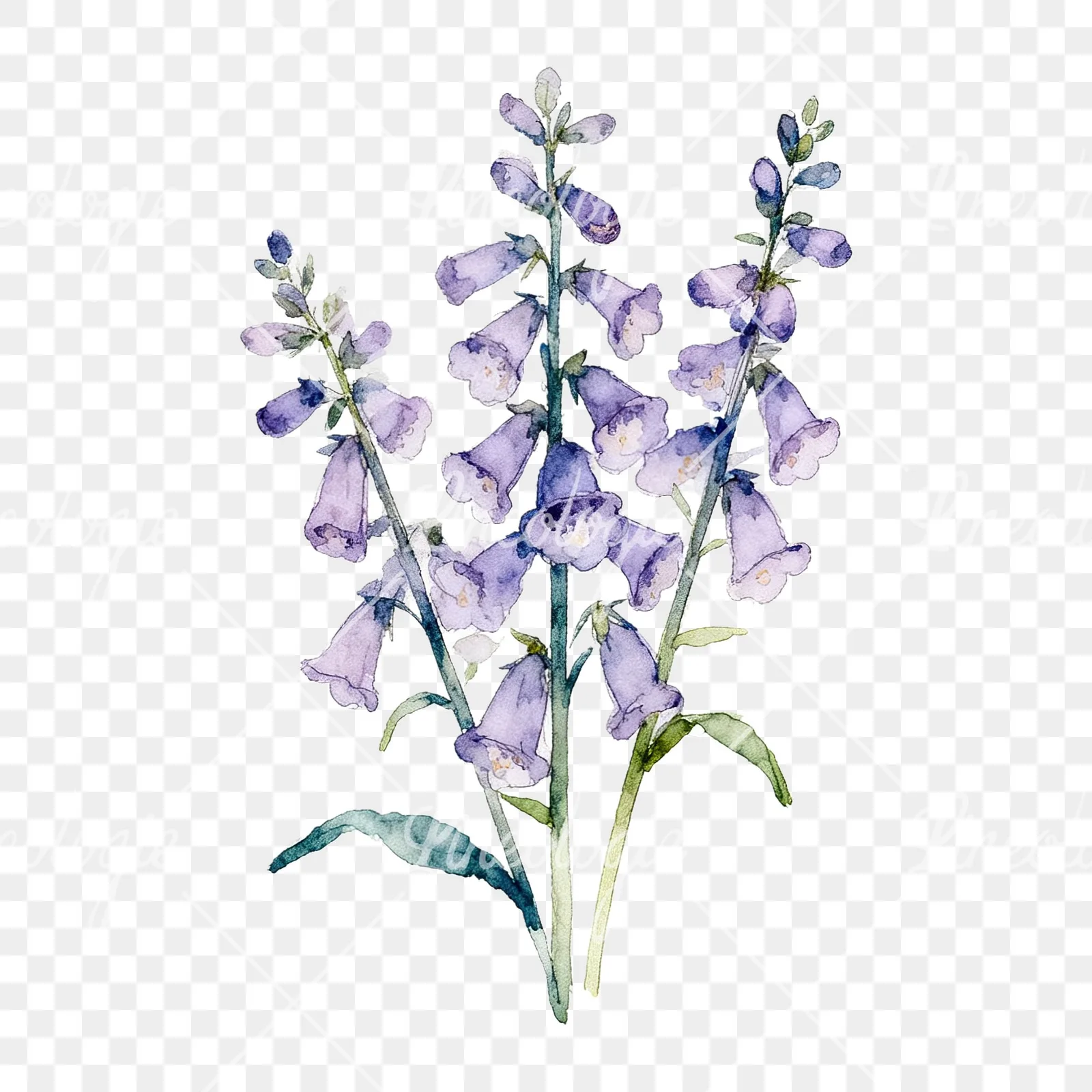 Watercolor purple foxglove bouquet clipart 9 of 9 on a transparent background (PNG)