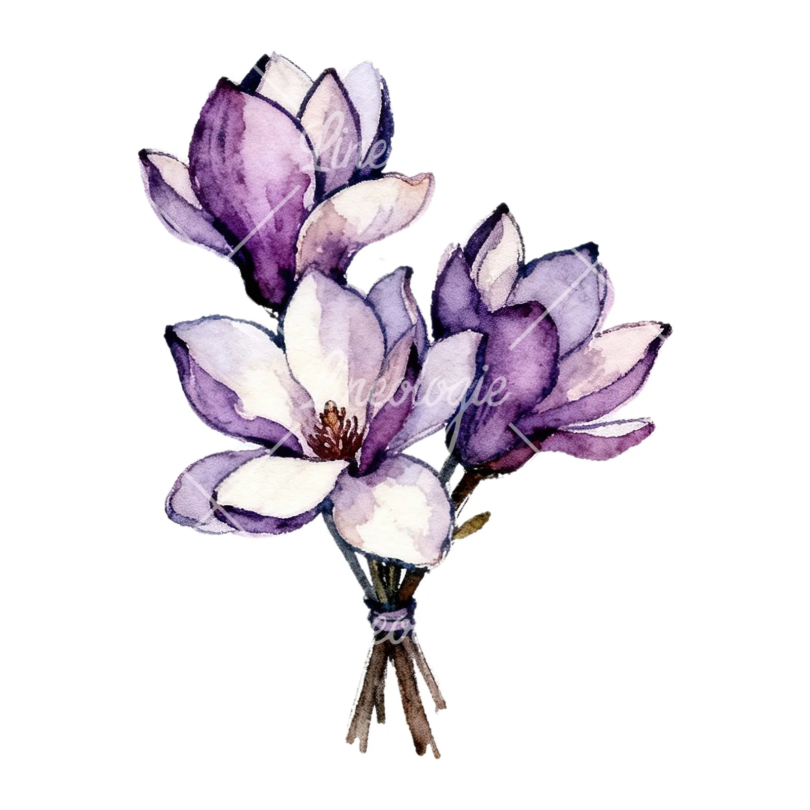 Watercolor purple magnolia bouquet clipart 5 of 9 on a white background (JPG)