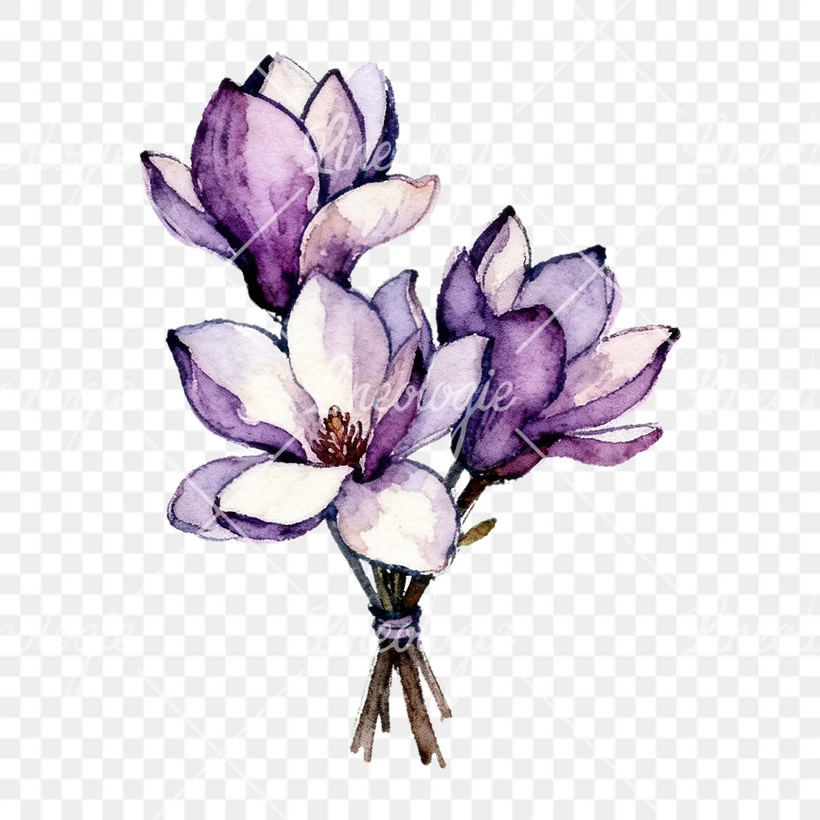 Watercolor purple magnolia bouquet clipart 5 of 9 on a transparent background (PNG)