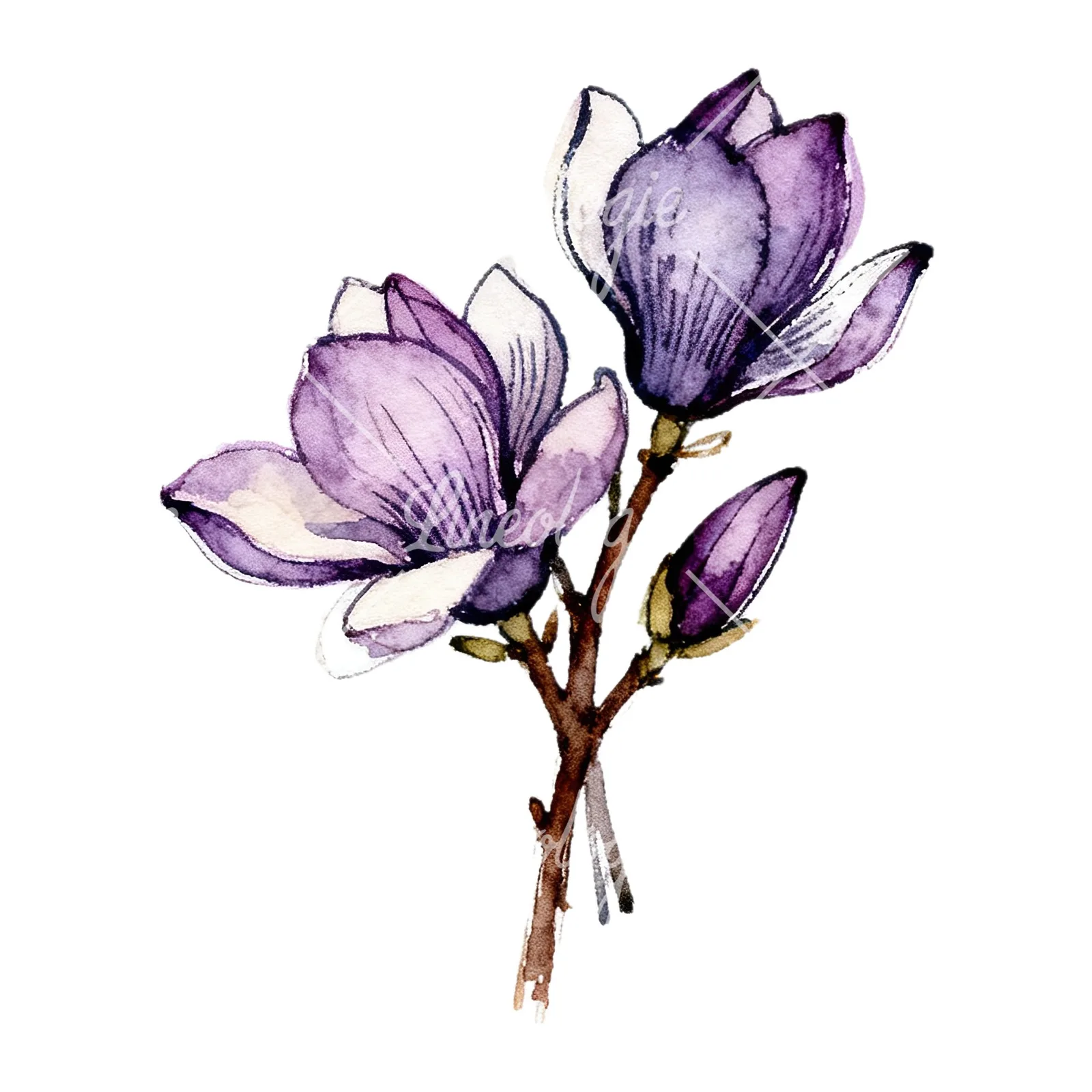 Watercolor purple magnolia bouquet clipart 7 of 9 on a white background (JPG)