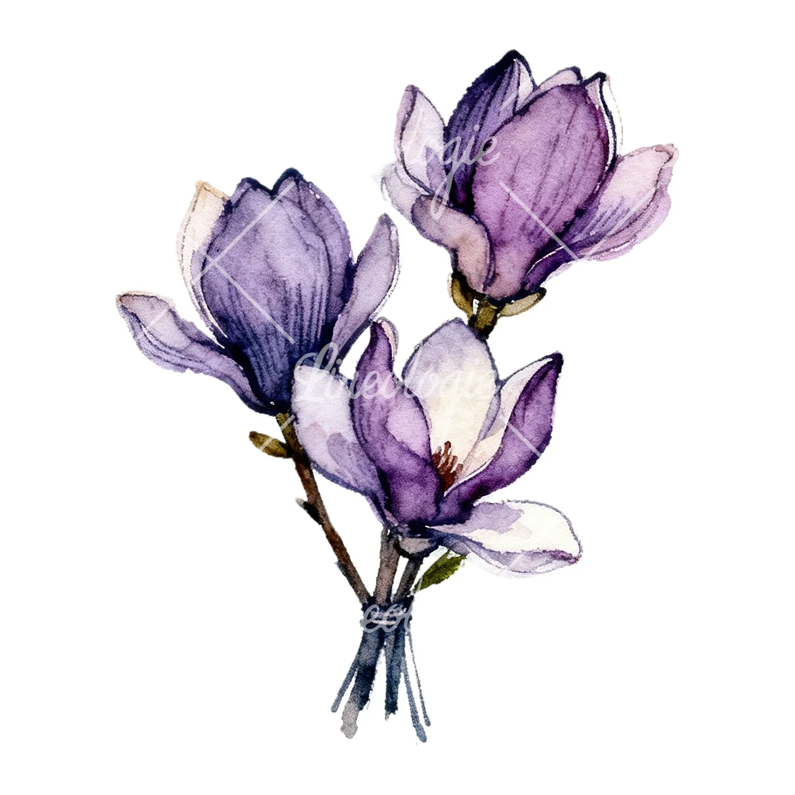 Watercolor purple magnolia bouquet clipart 8 of 9 on a white background (JPG)