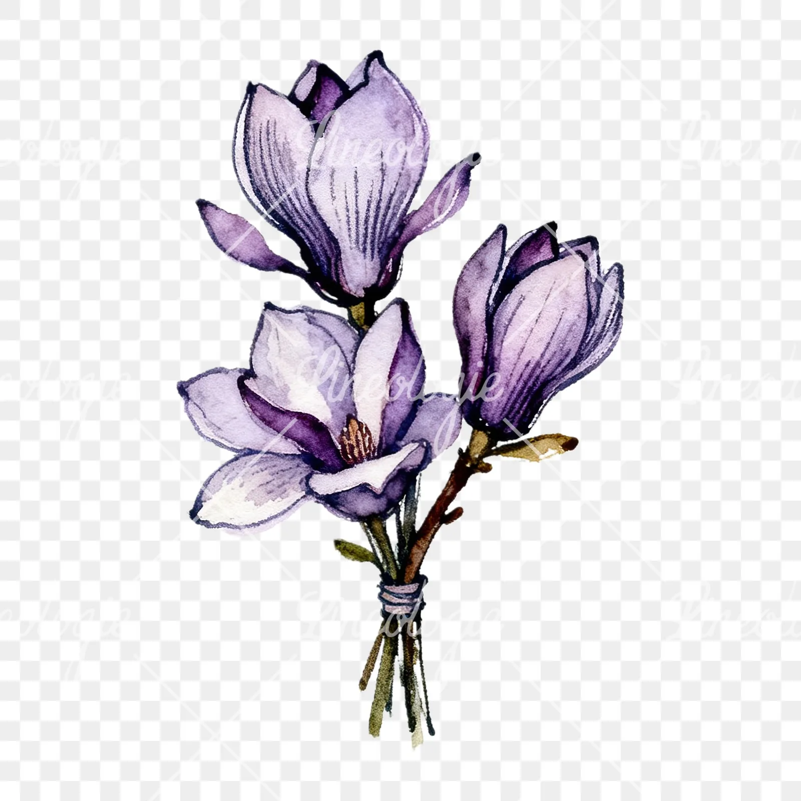 Watercolor purple magnolia bouquet clipart 9 of 9 on a transparent background (PNG)