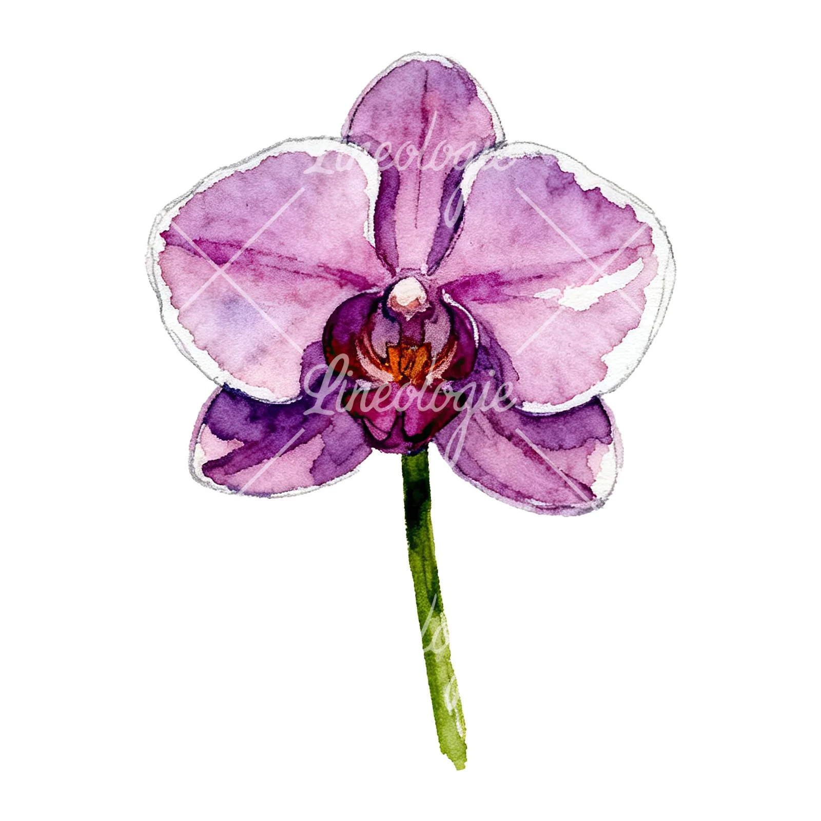 Watercolor purple orchid clipart 2 of 9 on a white background (JPG)