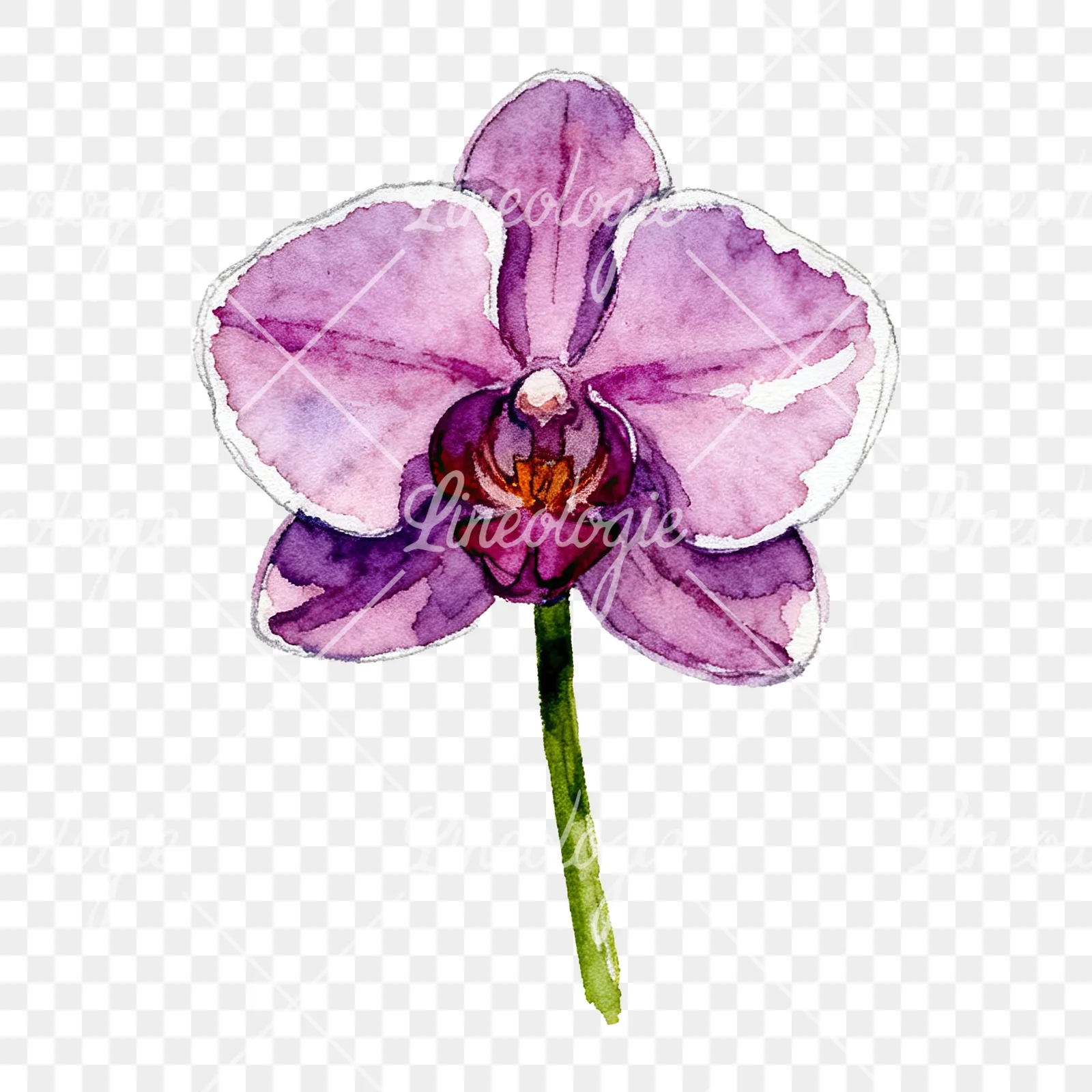 Watercolor purple orchid clipart 2 of 9 on a transparent background (PNG)