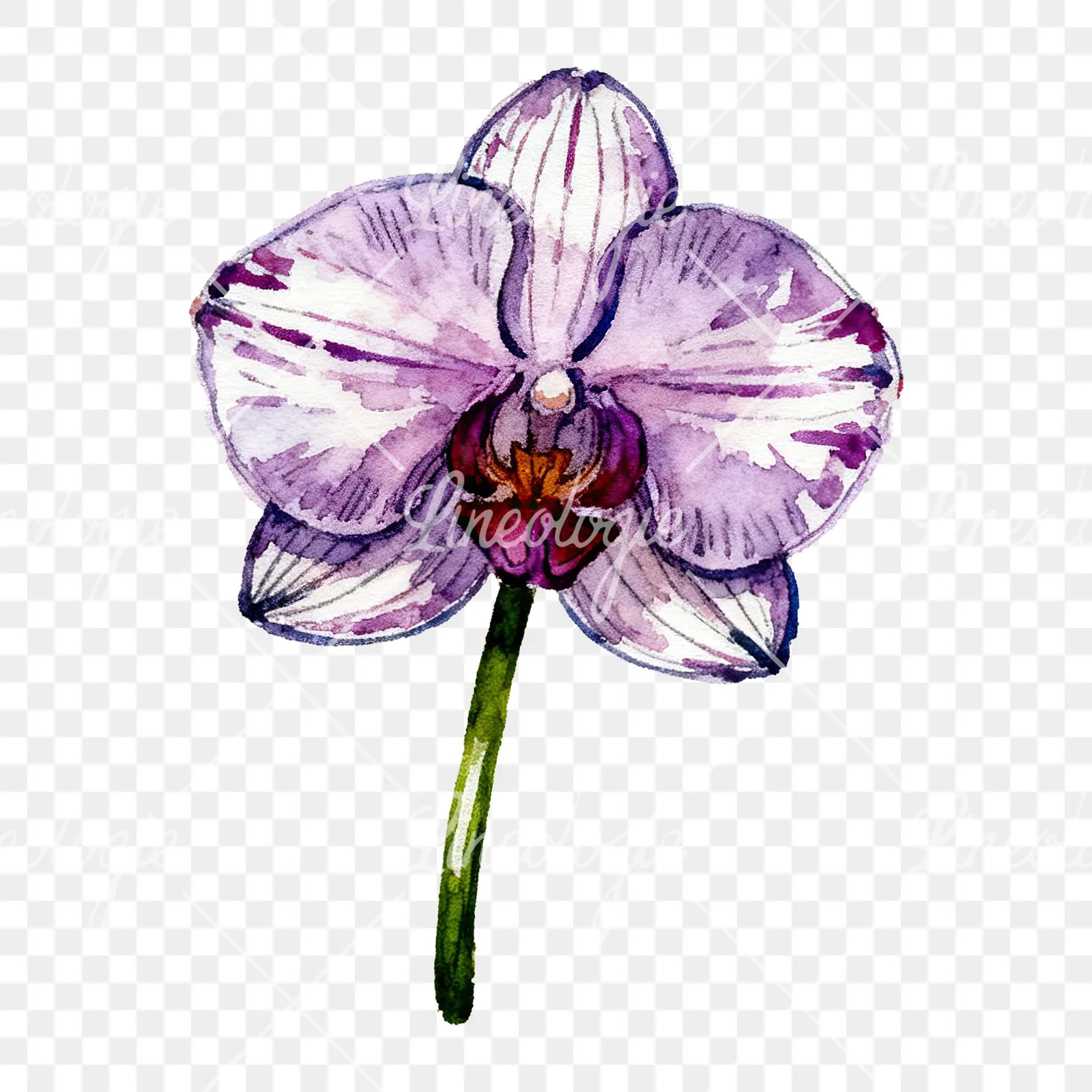 Watercolor purple orchid clipart 5 of 9 on a transparent background (PNG)