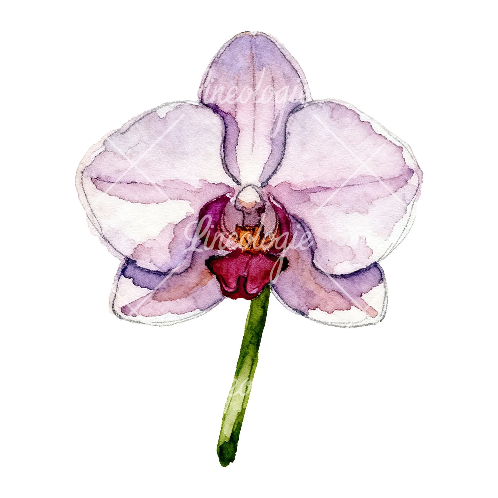 Watercolor purple orchid clipart 8 of 9 on a white background (JPG)