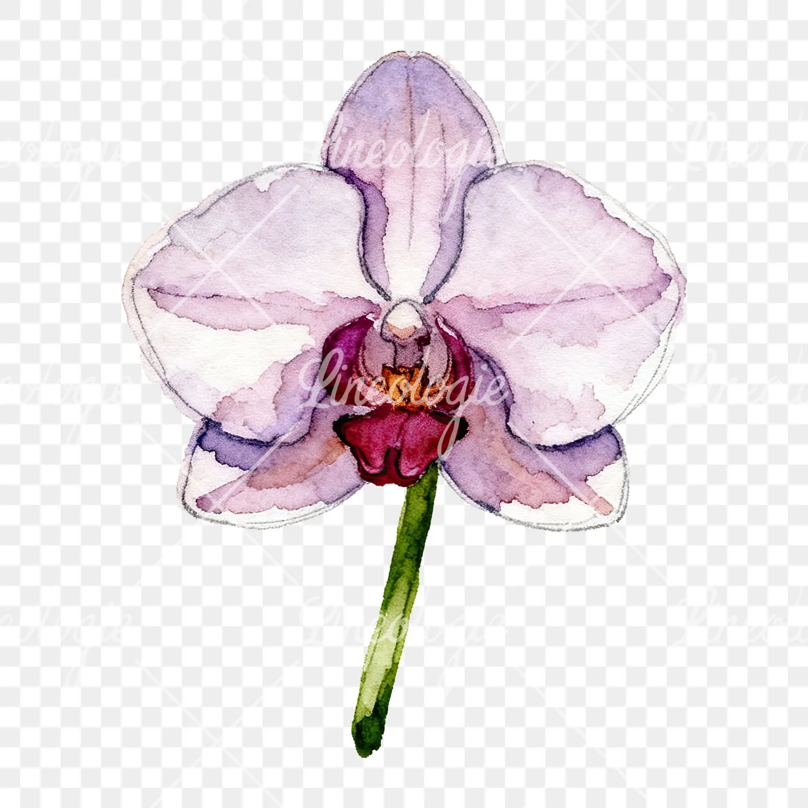 Watercolor purple orchid clipart 8 of 9 on a transparent background (PNG)