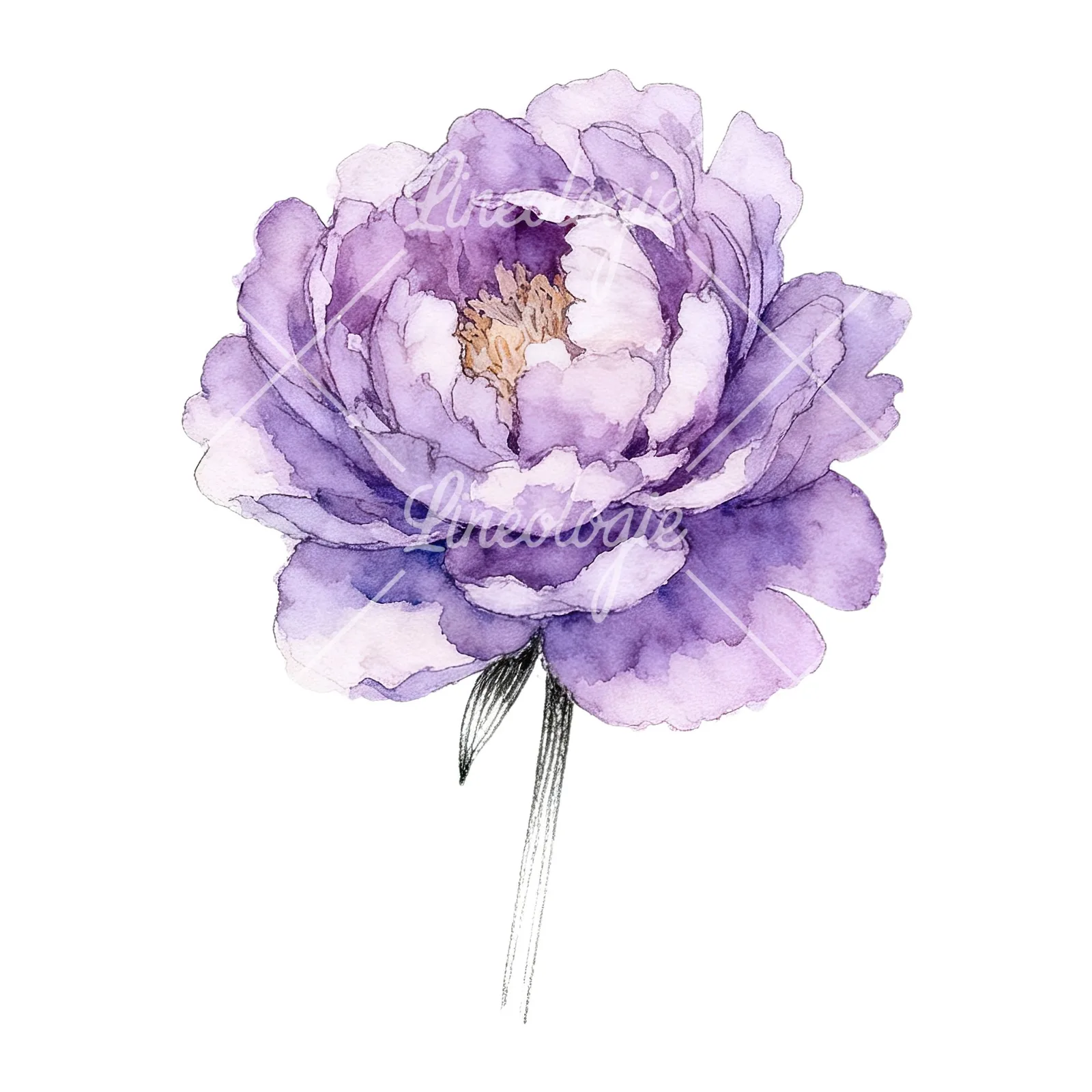 Watercolor light lavender purple peony bouquet clipart 4 of 9 on a white background (JPG)