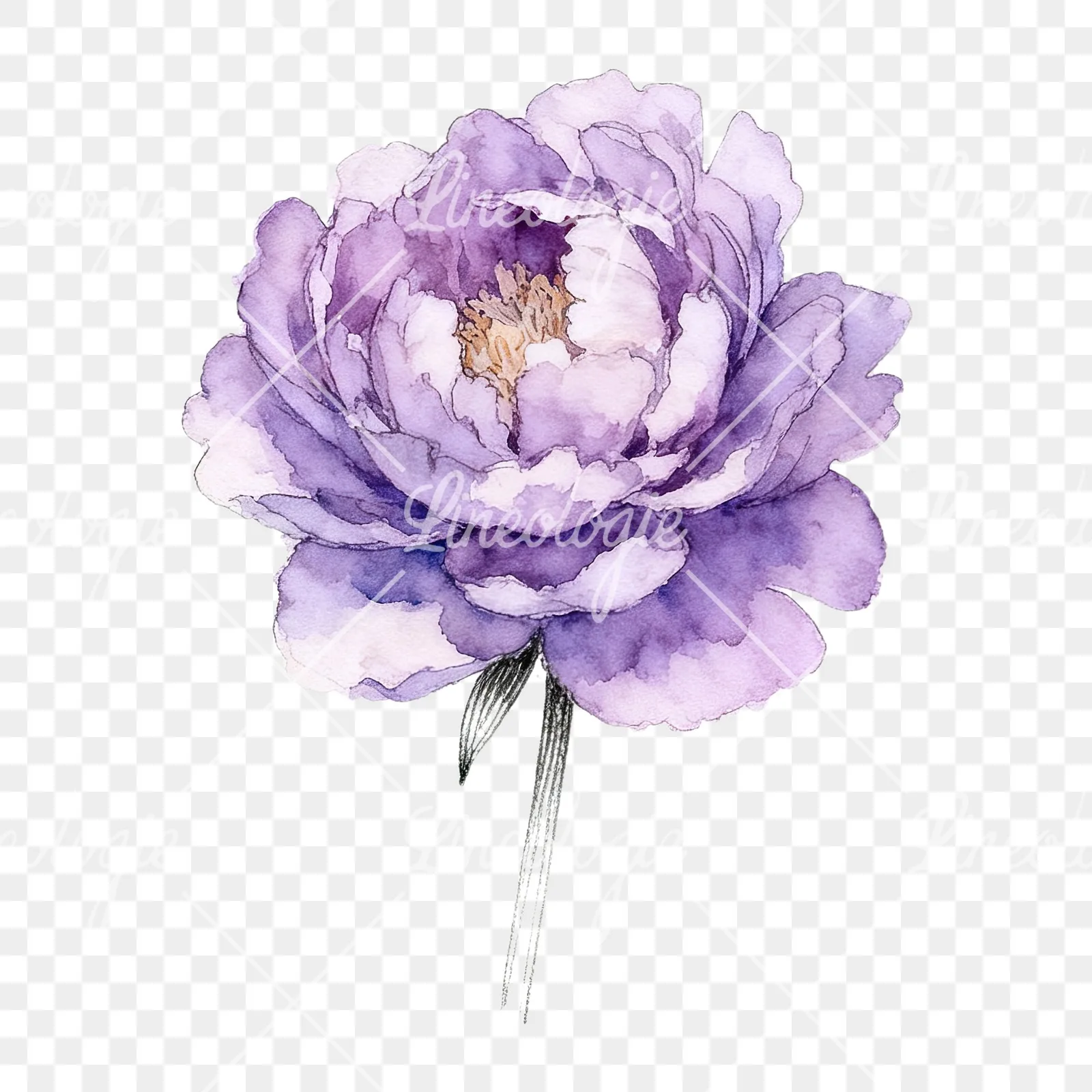 Watercolor light lavender purple peony bouquet clipart 4 of 9 on a transparent background (PNG)