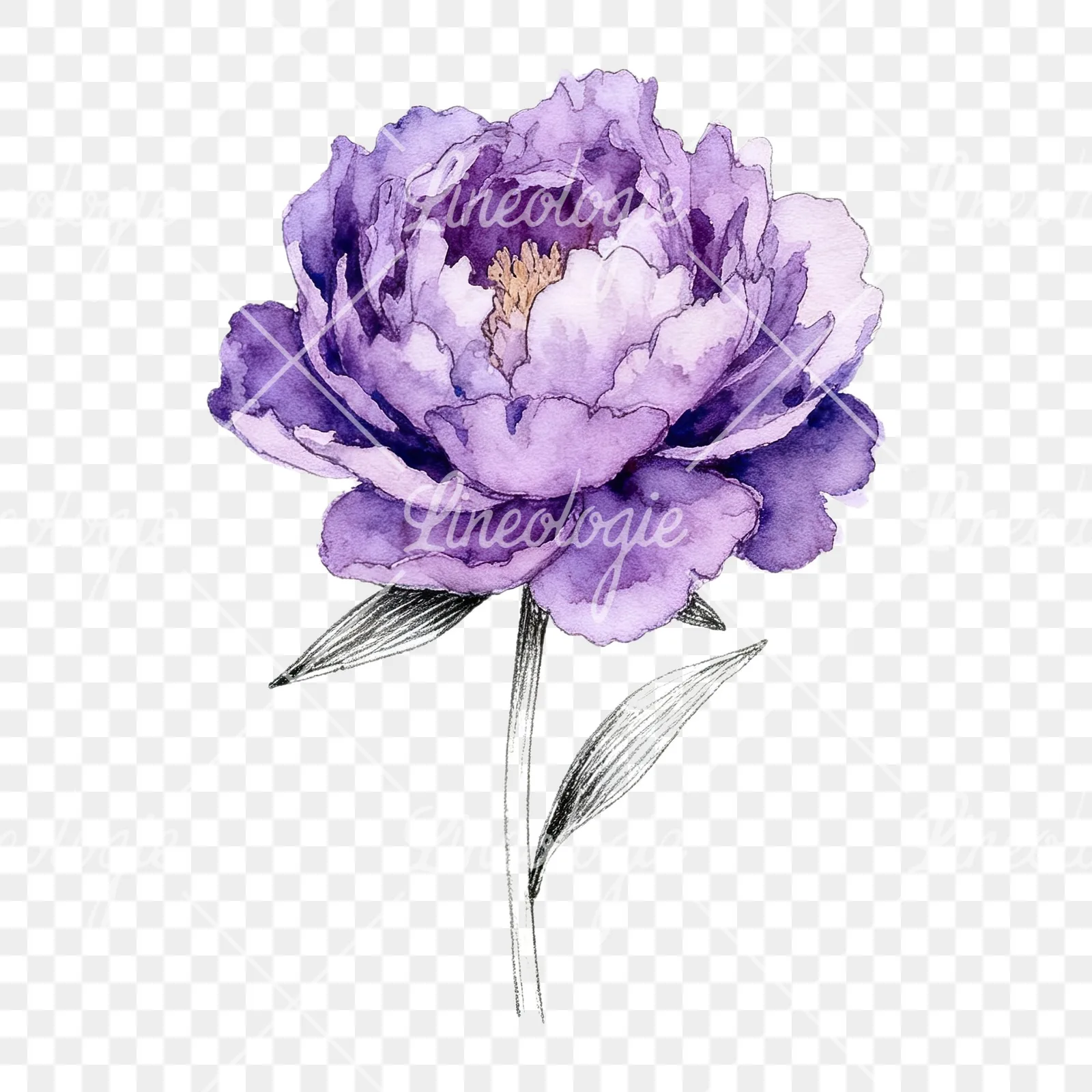 Watercolor light lavender purple peony bouquet clipart 5 of 9 on a transparent background (PNG)